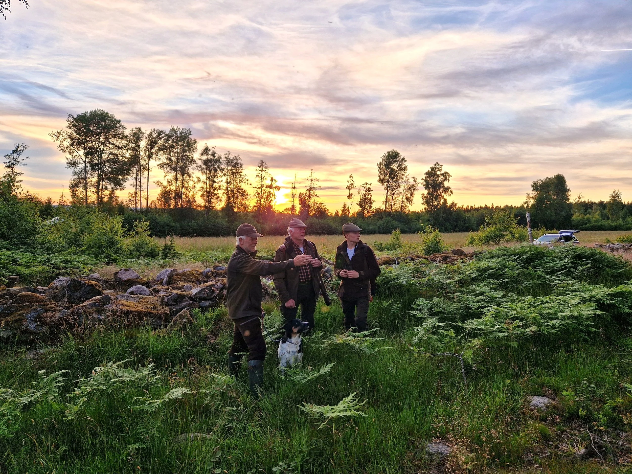 Tre män och en hund i en grönskande utomhusmiljö vid solnedgången, med träd, ett fält och en bil i bakgrunden.