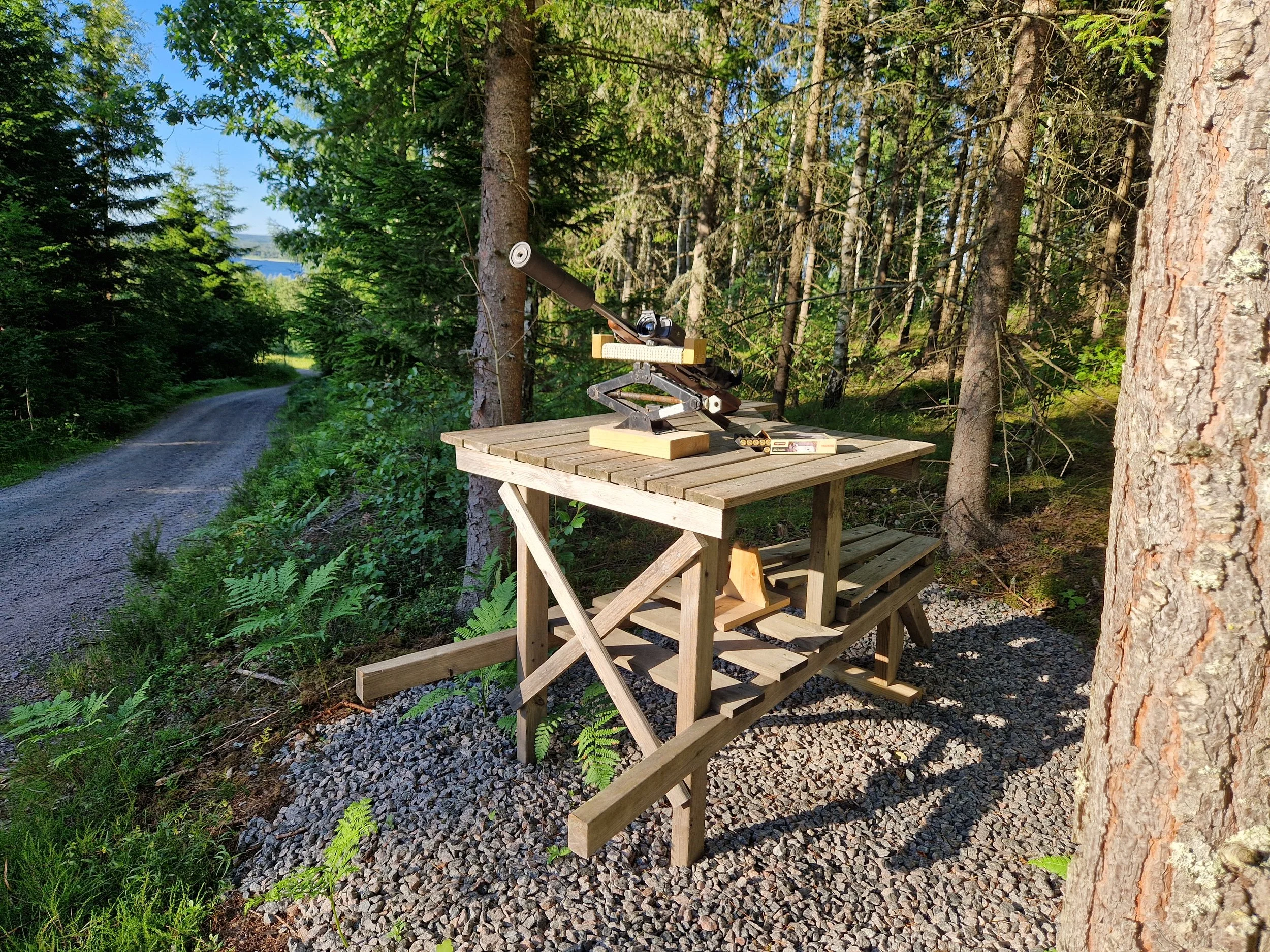 En jaktbock kuva på en träbänk i skogsmiljö, omgiven av träd och grön vegetation, med en vackert blå himmel.