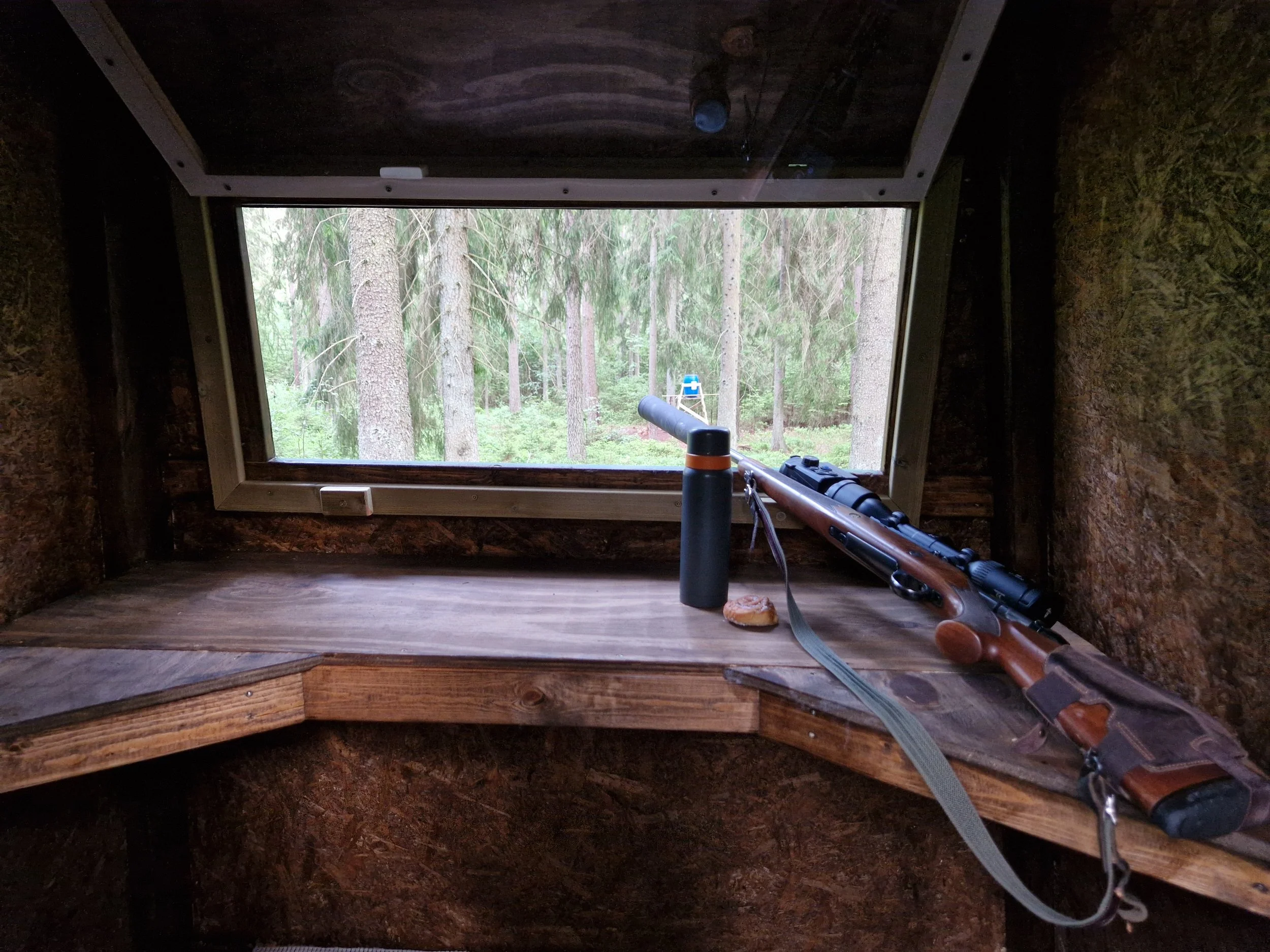 En utsikt från ett insynsskyddat fönster i ett trähus. Utanför syns träd i en skog. Inne i huset ligger en gevärsstol på ett trägolv.