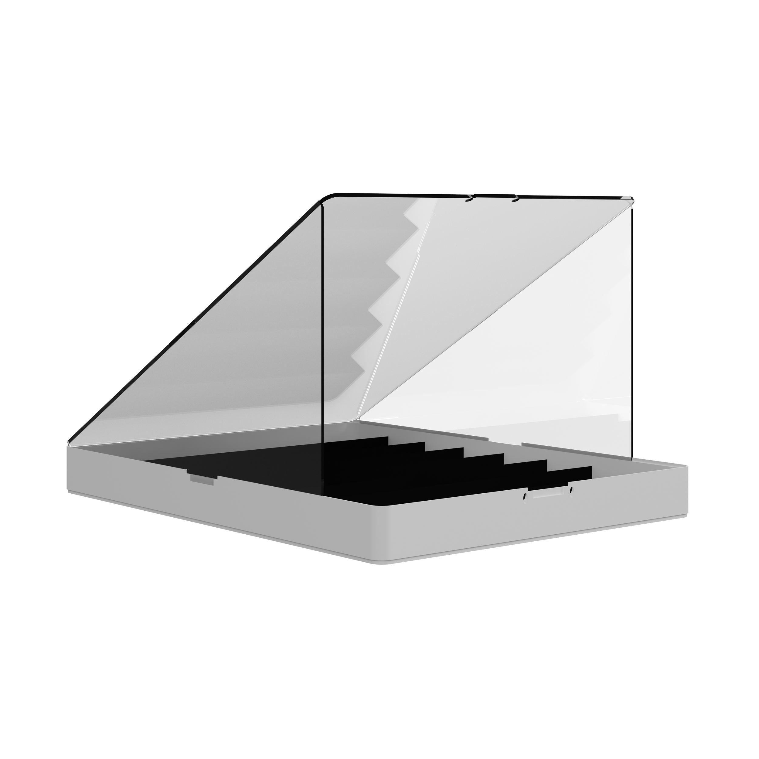white5.png