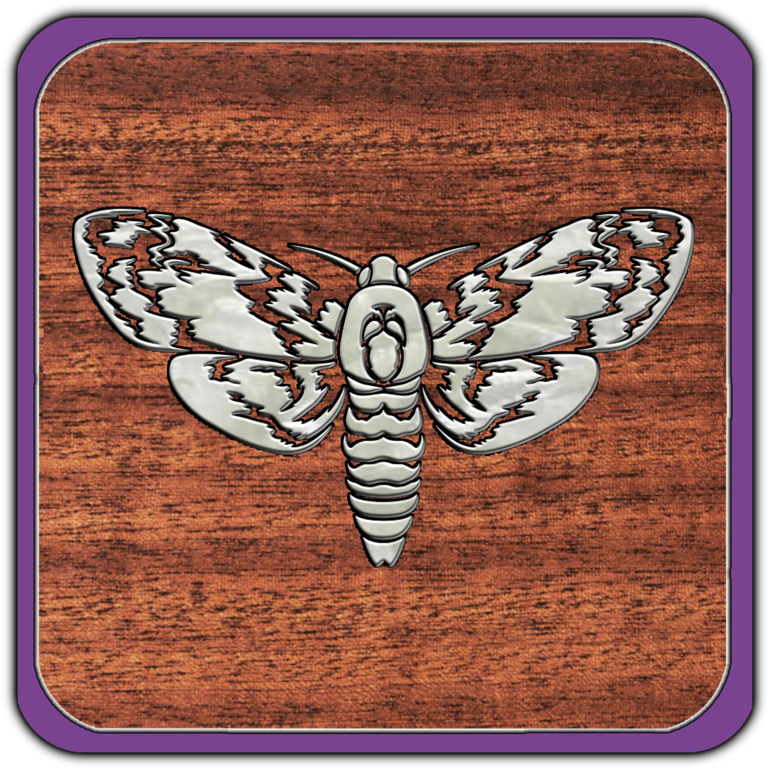 Silver butterfly pin on wooden background