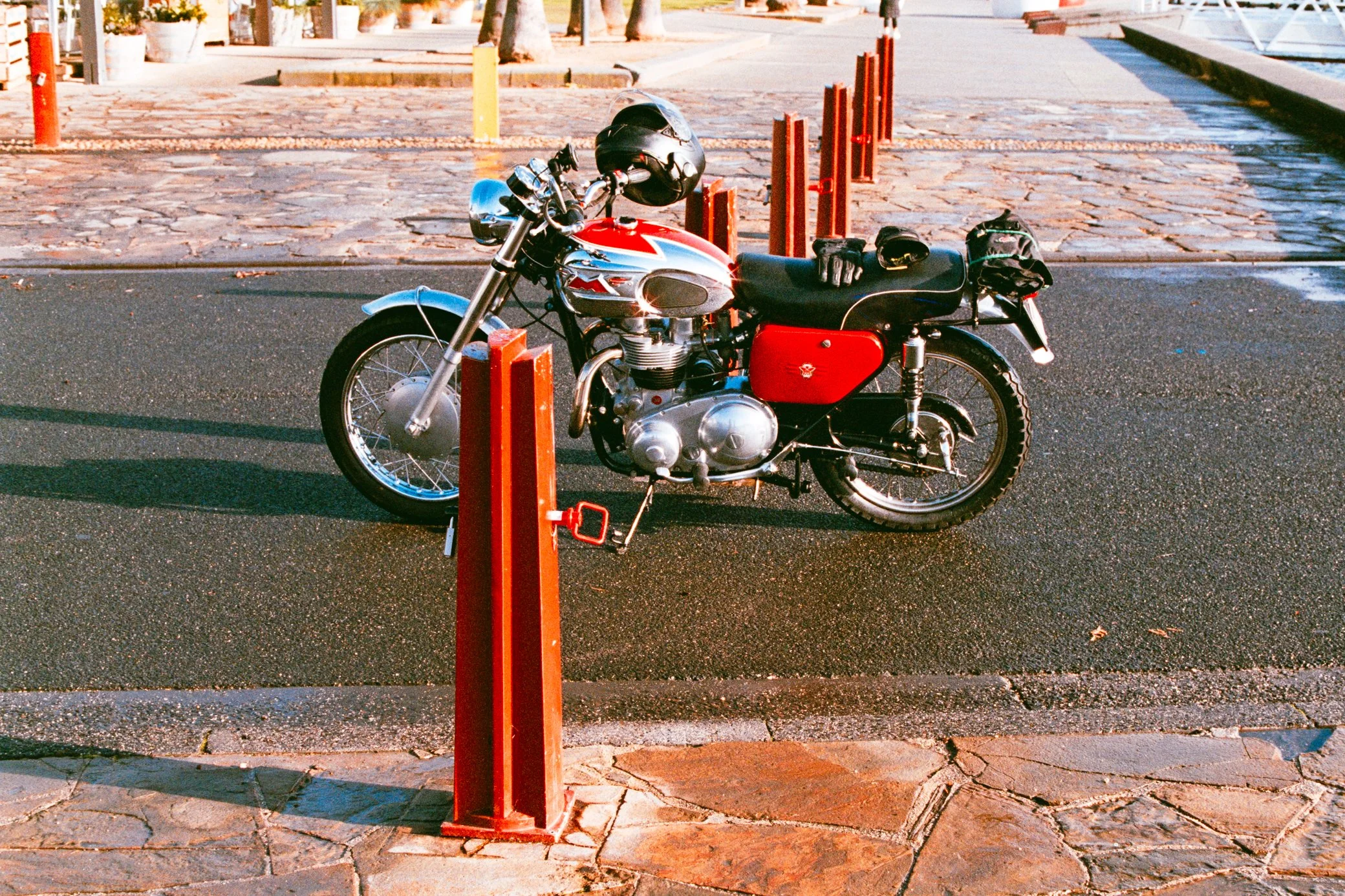 DSC08305.jpeg