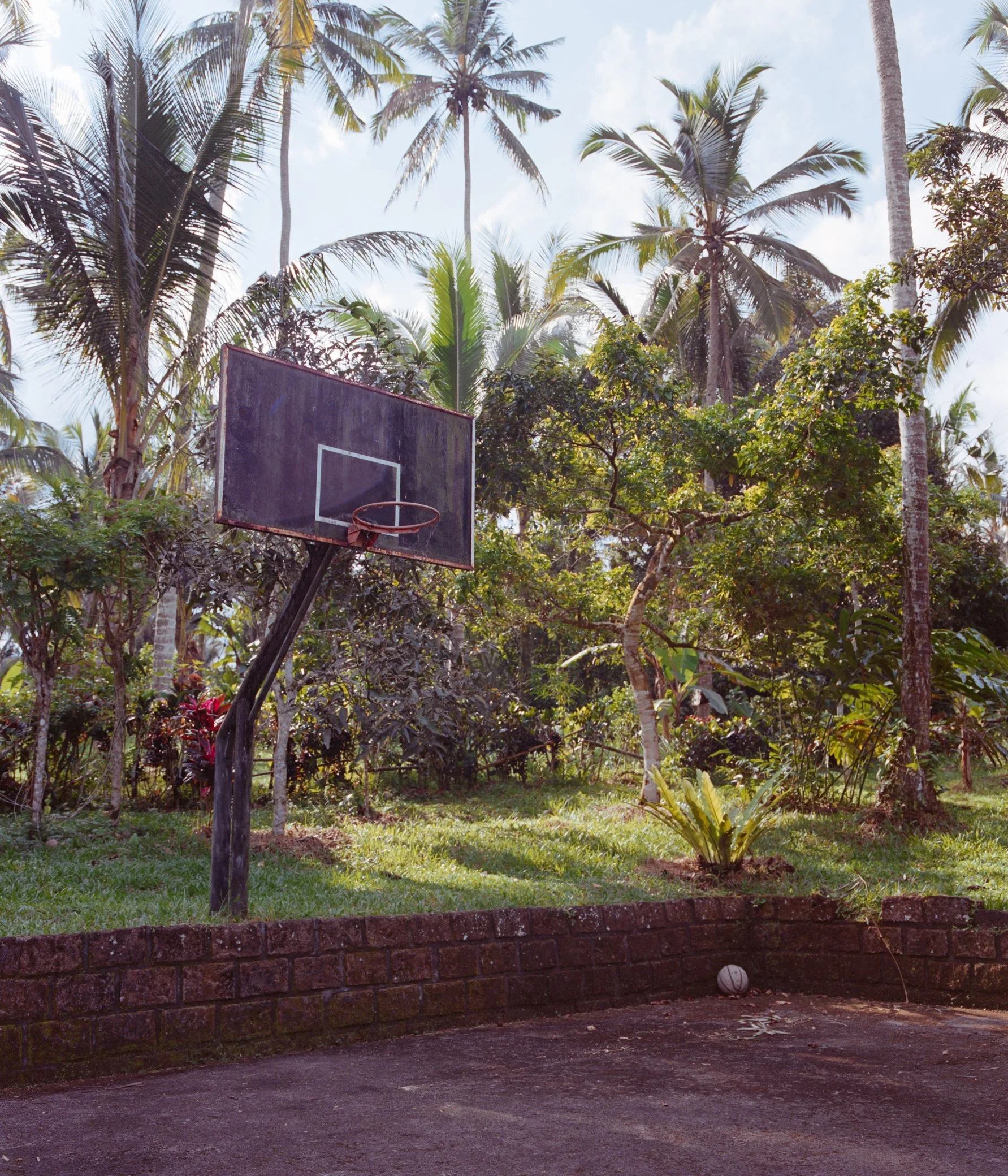 DSC08487.jpeg