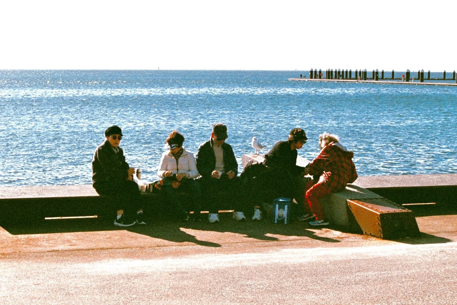 DSC08328.jpeg