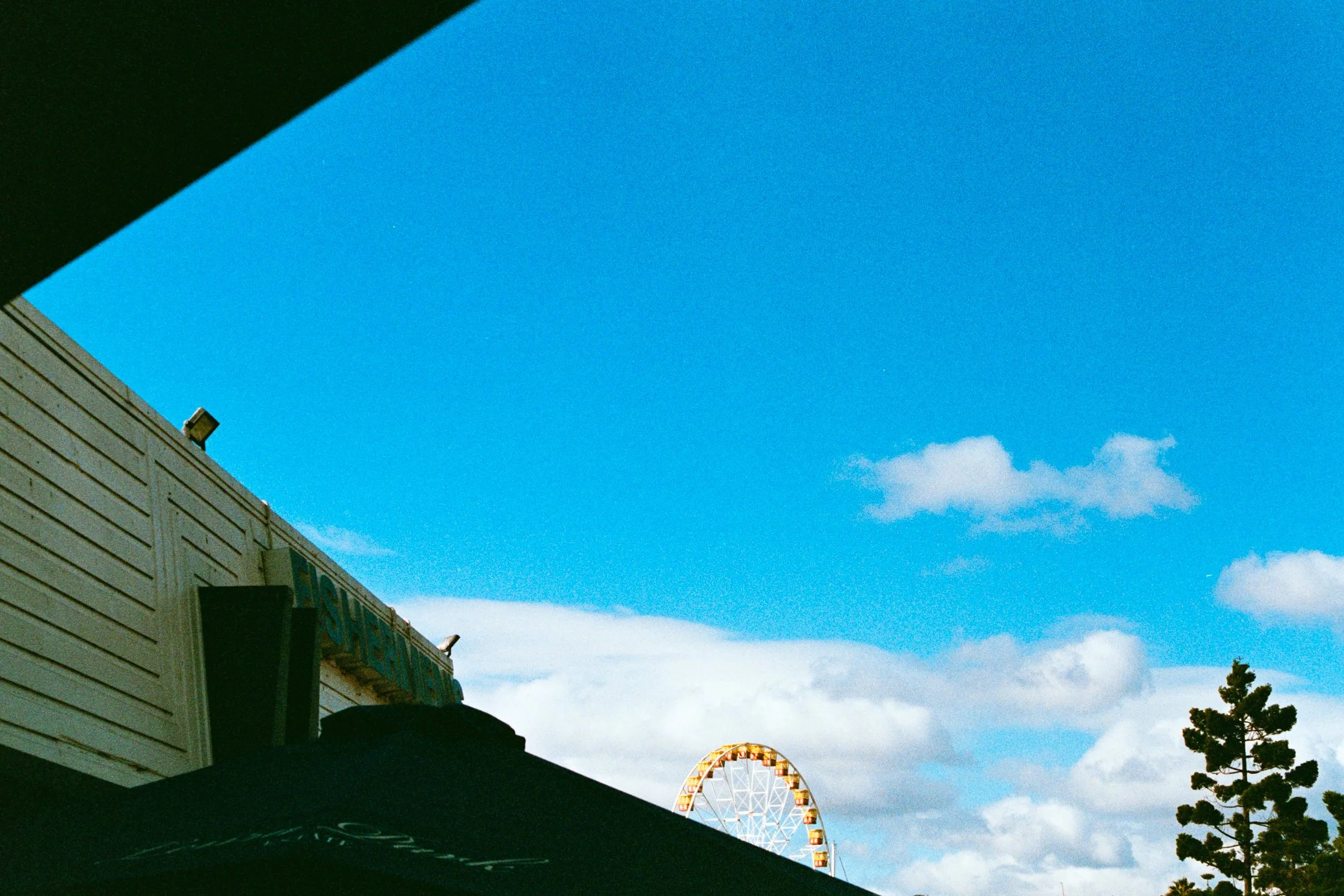 DSC08327.jpeg
