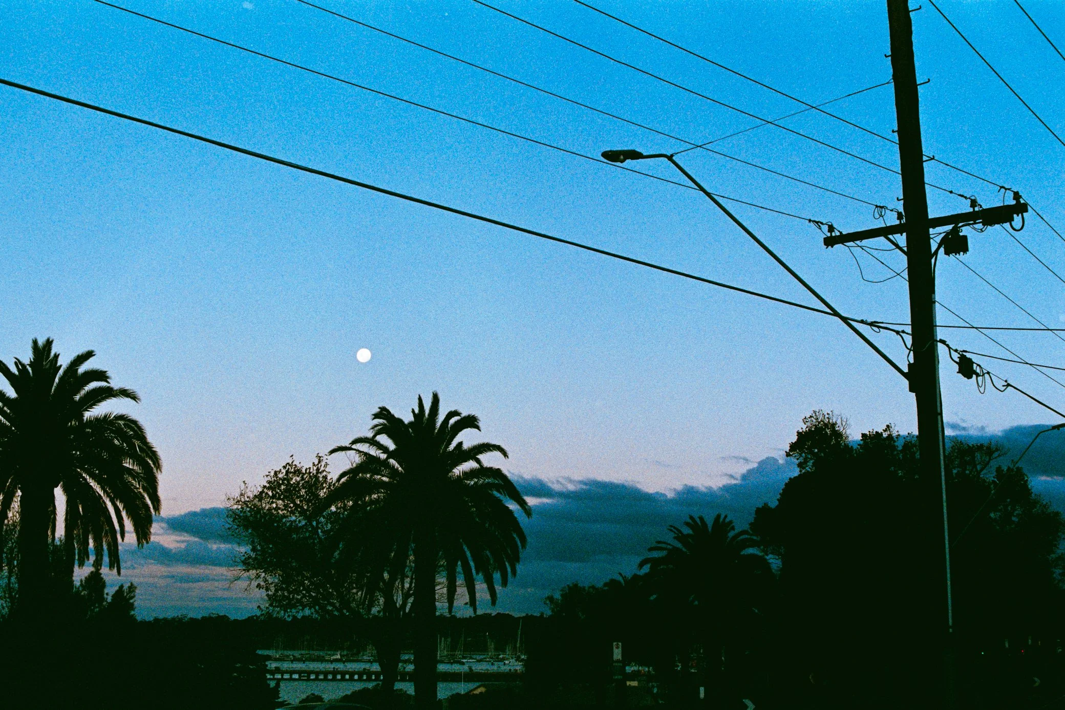 DSC08321.jpeg