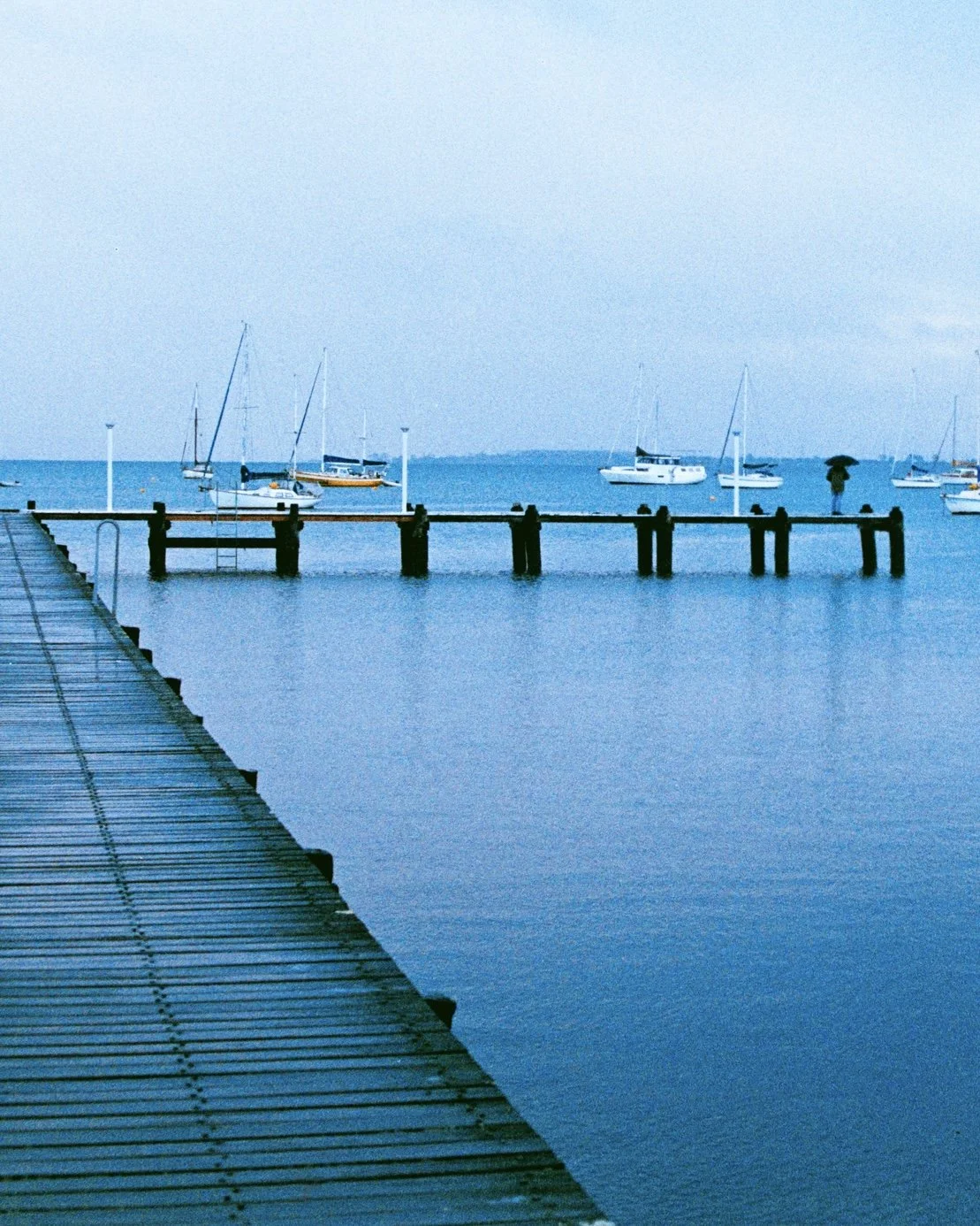 DSC08320.jpeg