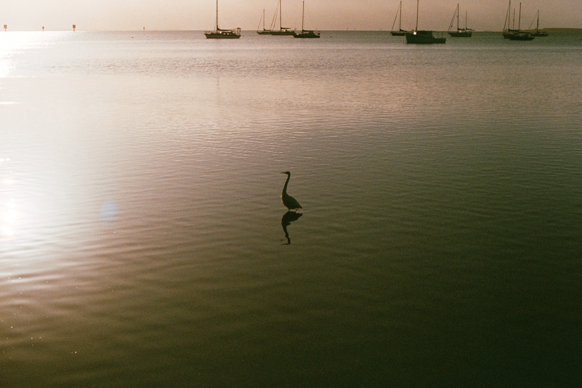DSC08311.jpeg