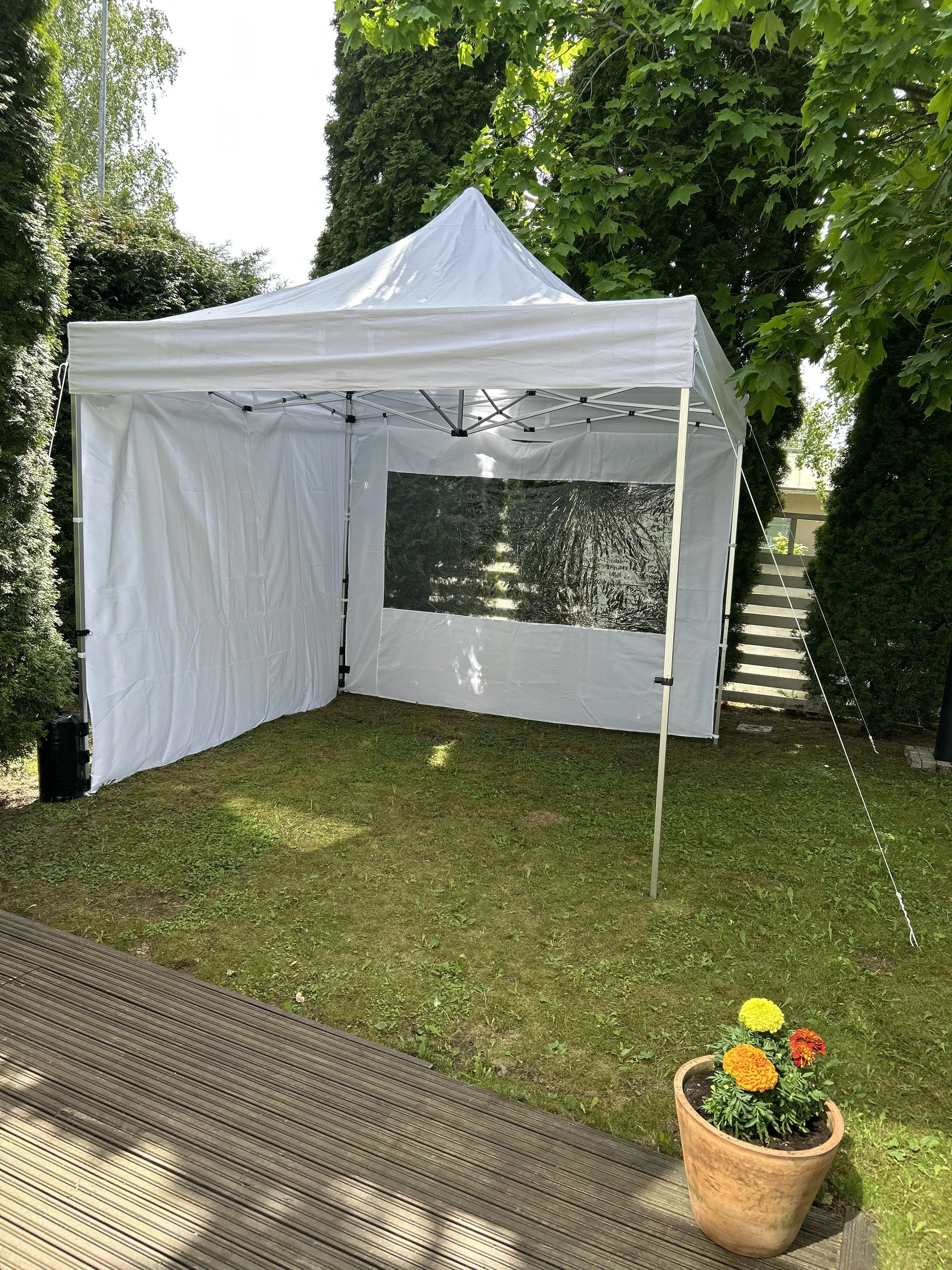 Valkoinen pop-up teltta puutarhassa ja kukallinen ruukku.