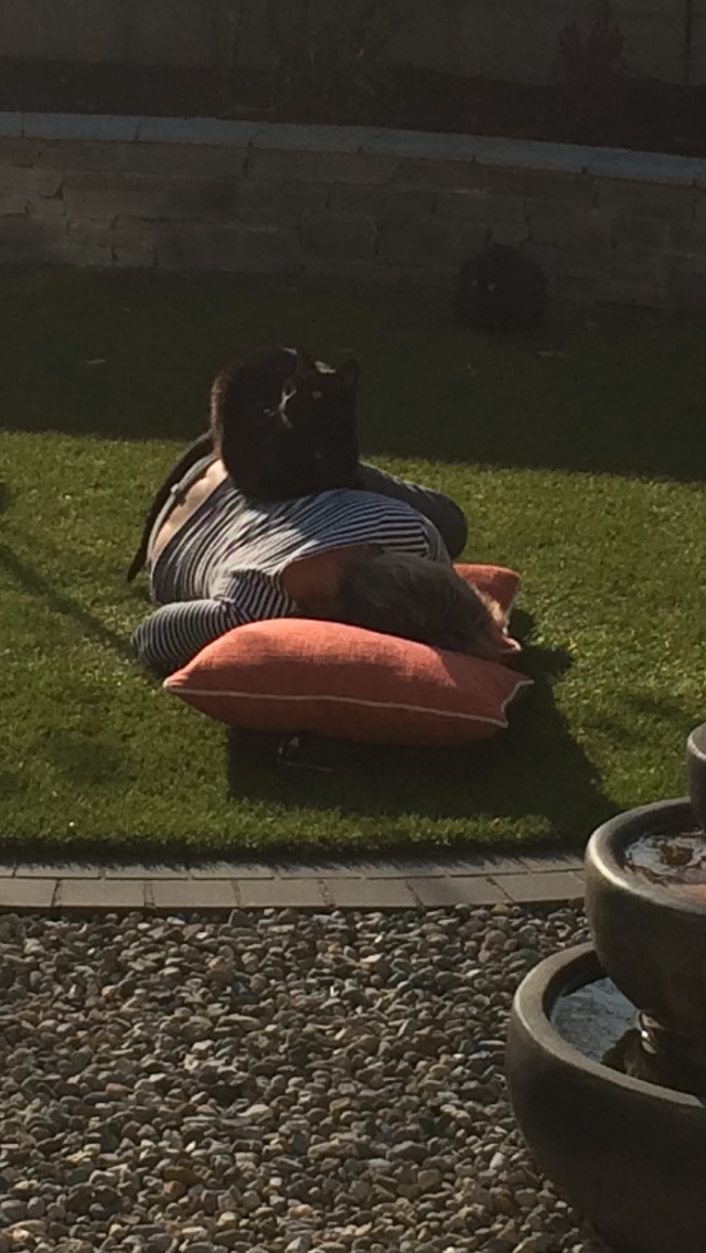 Person lying on pink pillow on grass at sunset, with a black cat sitting on their chest looking at the camera.