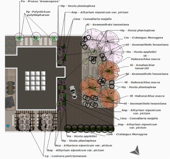 Planting plan (1:50 scale) - Front and sides of property.