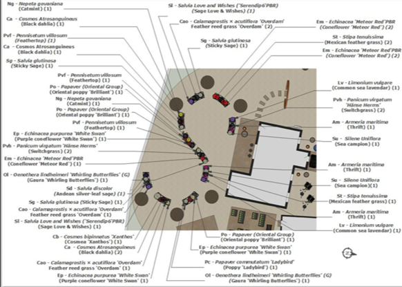 Planting plan - Corten steel planters.