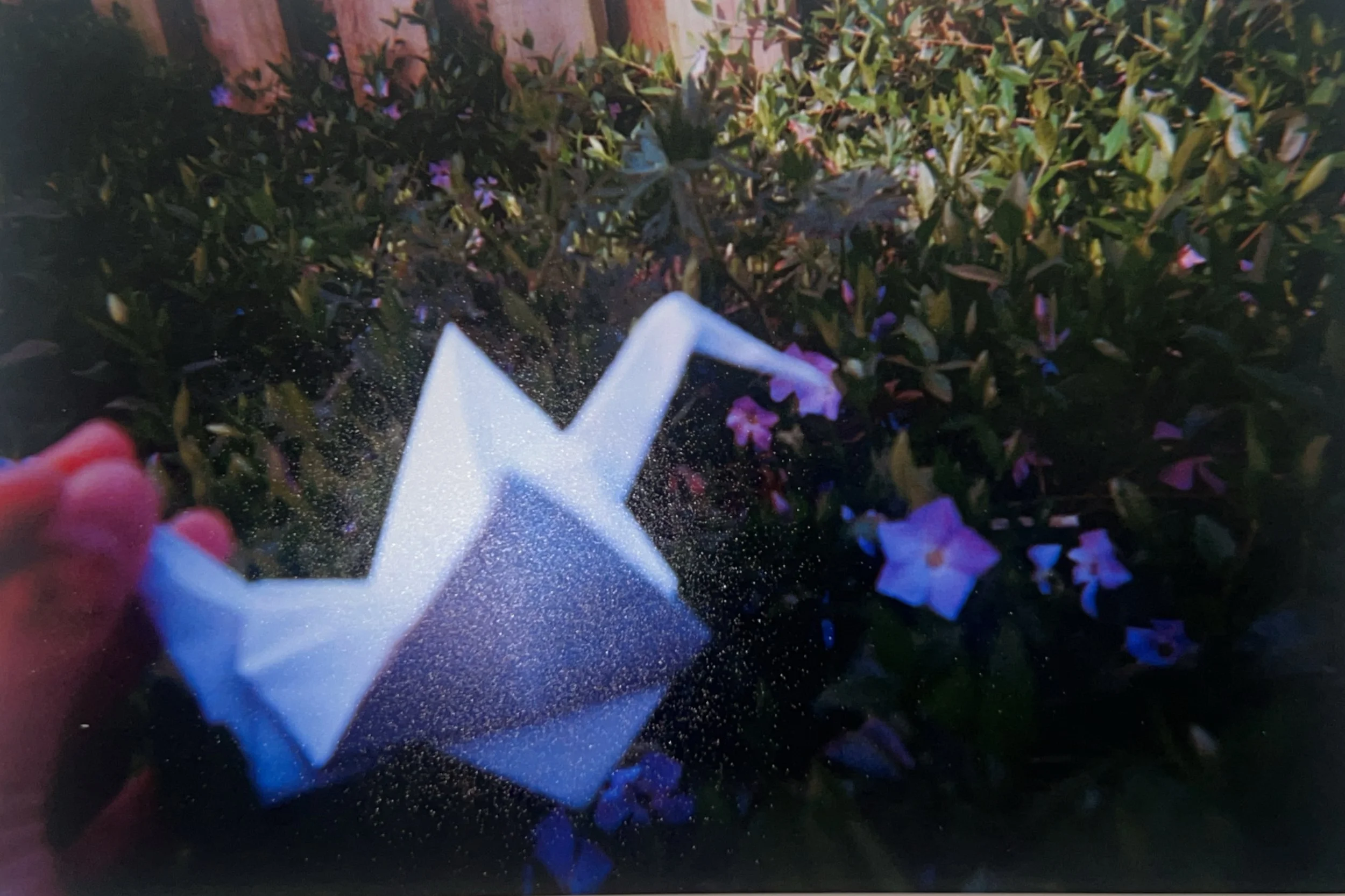 798811014.380711.jpg