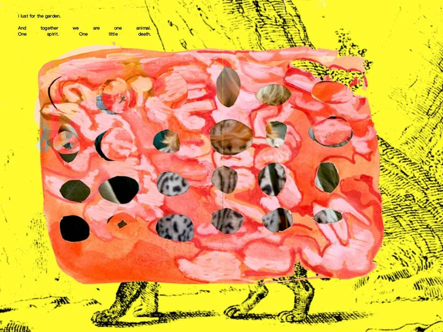 jpeg59.jpg