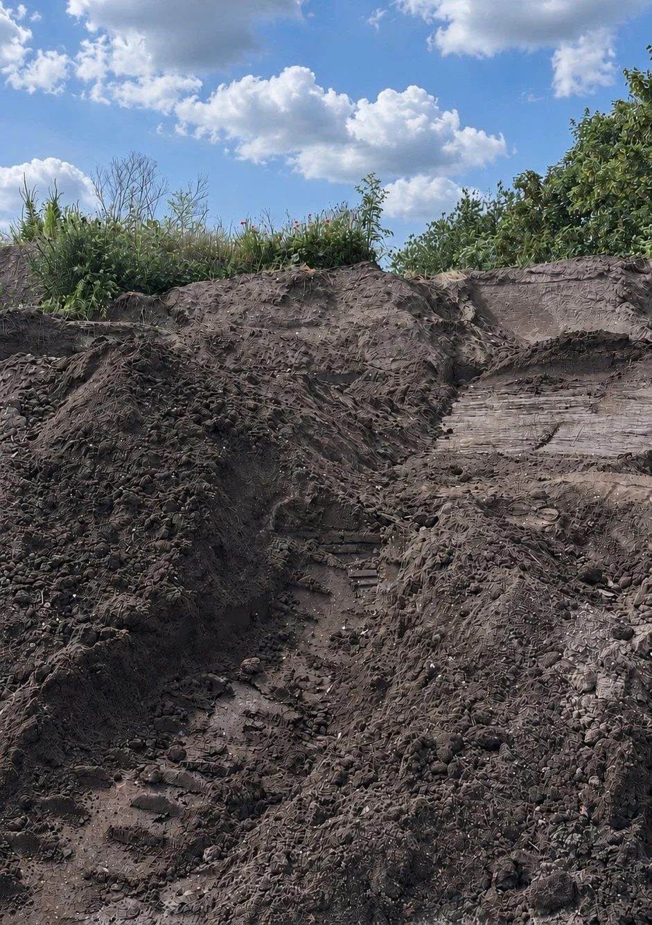A dirt trail or path through rugged, rocky terrain with deep tire marks, framed by green bushes and trees, under a partly cloudy sky.
