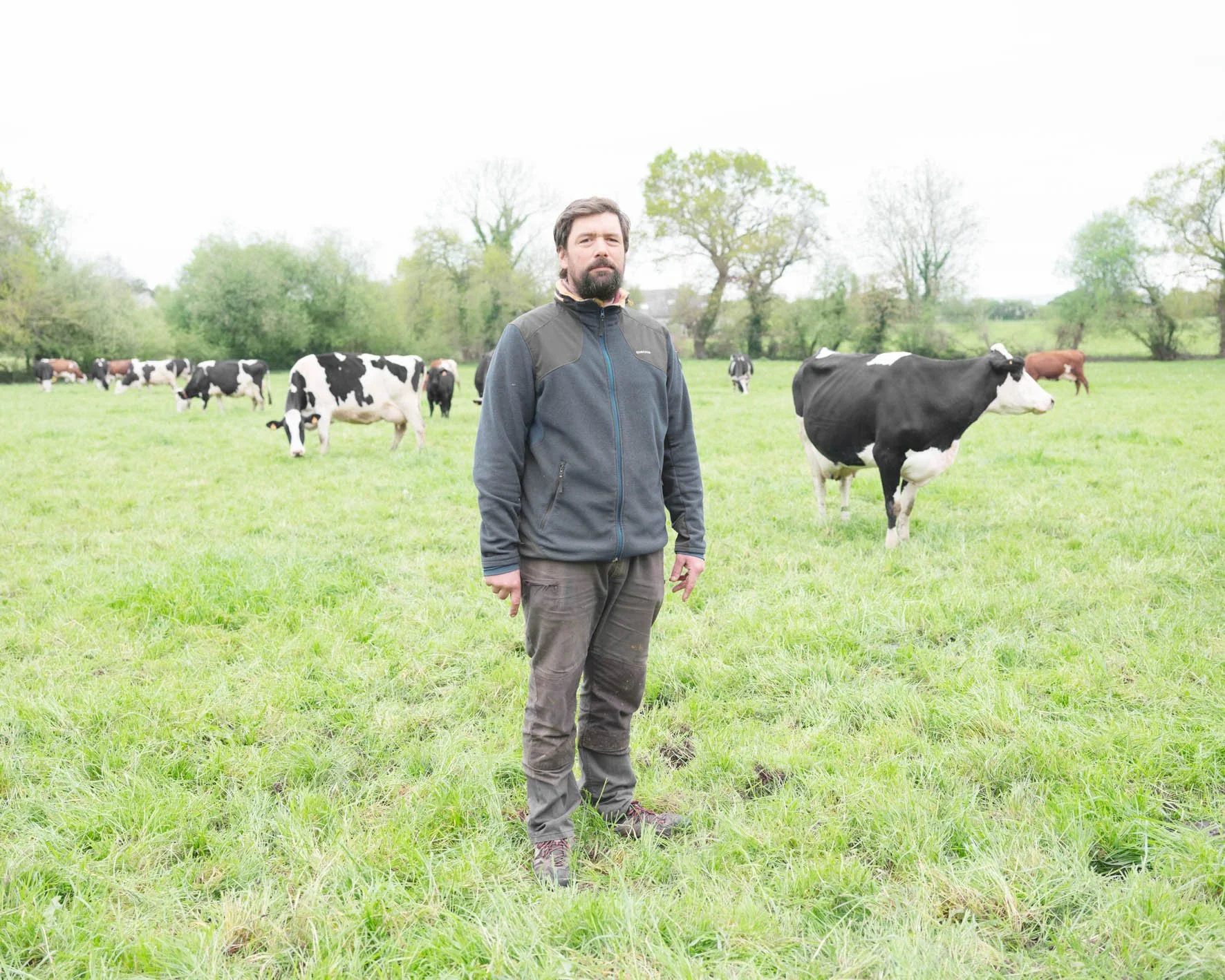 Un homme debout dans un pré vert avec des vaches en arrière-plan, accompagné d'arbres et d'un ciel nuageux.
