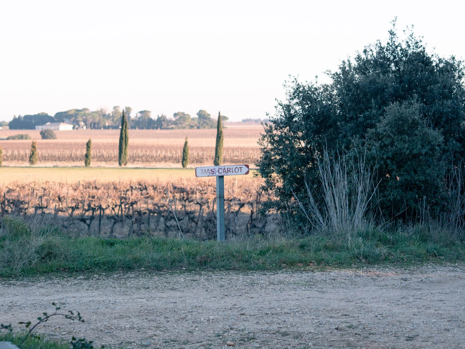 mas bressad-21.jpg