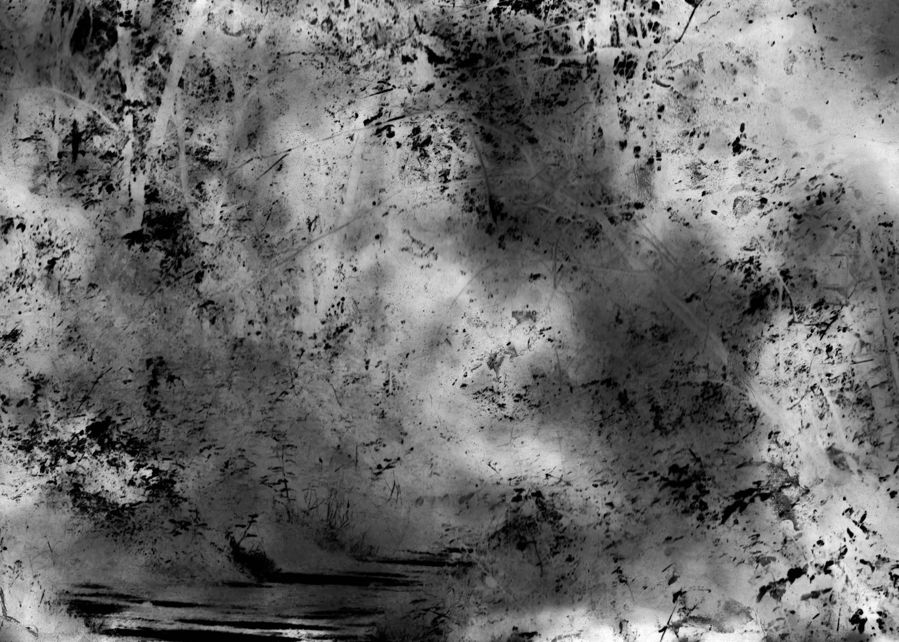 Une scène sombre et nuageuse, semblable à une forêt avec des taches de noir et de gris, donnant une impression de brouillard ou de tempête. Une photo en noir et blanc détériorée à but artistique.