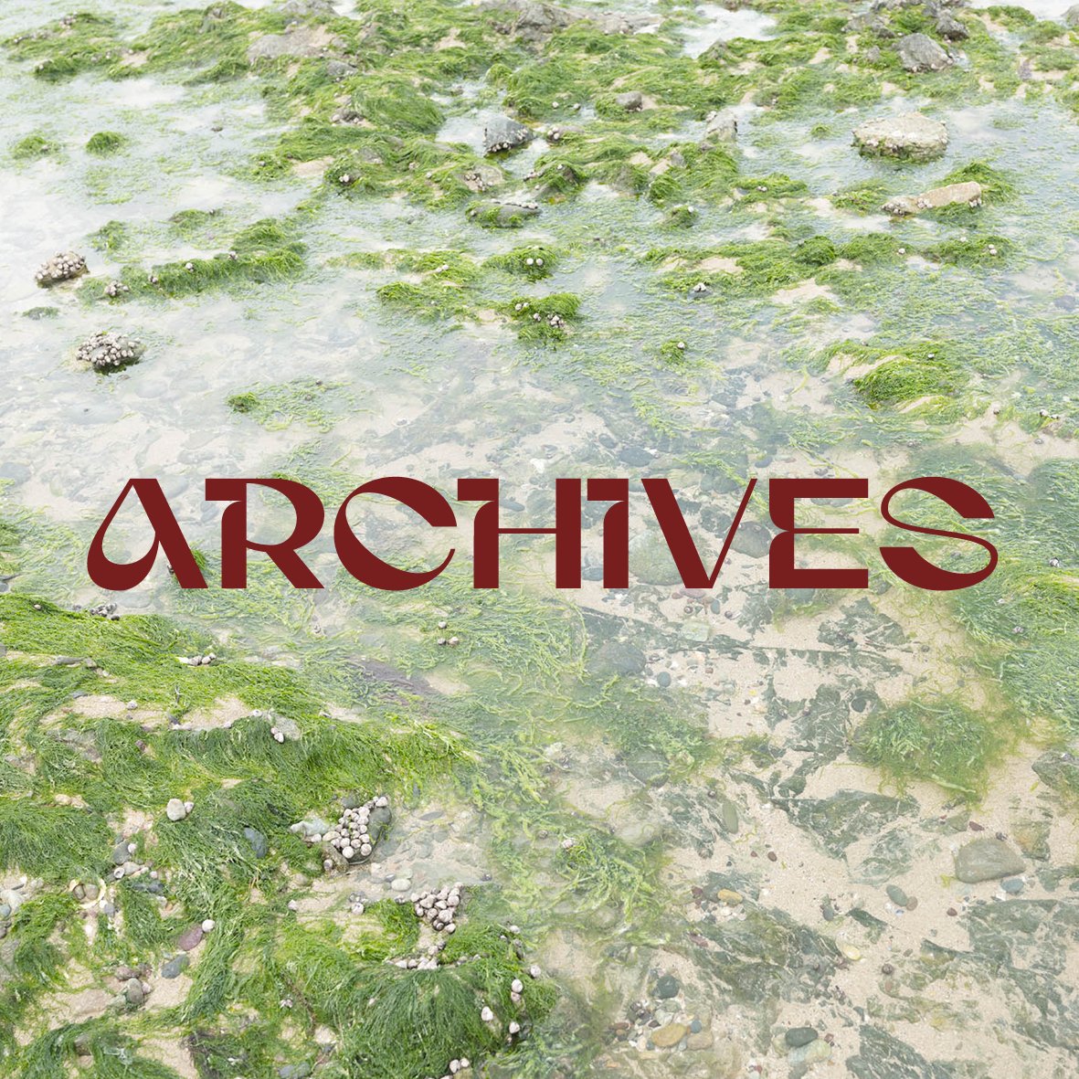 Photo de roches recouvertes de mousse verte dans l'eau peu profonde, avec le mot 'ARCHIVES' en lettres rouges au centre.