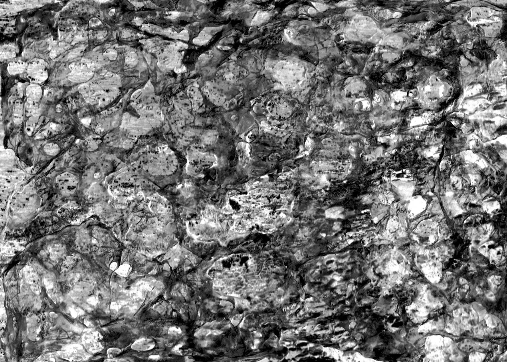 Texture en noir et blanc ressemblant à une surface rocheuse avec des motifs variés et des marbrures. Plastique fondu sur une photo de la mer. Une photo en noir et blanc détériorée à but artistique.