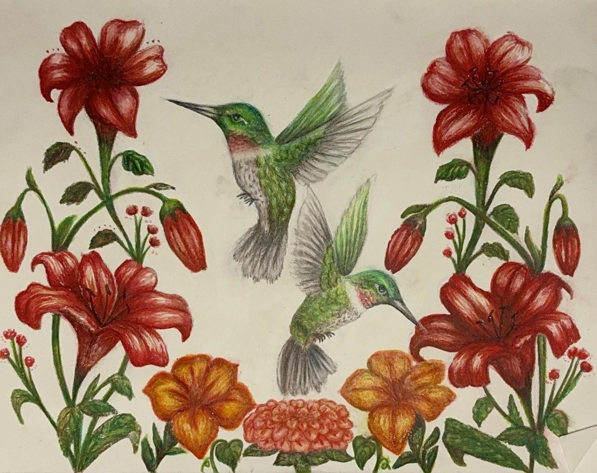 colored pencil drawing of two hummingbirds surrounded by red and orange lilies and other flowers.