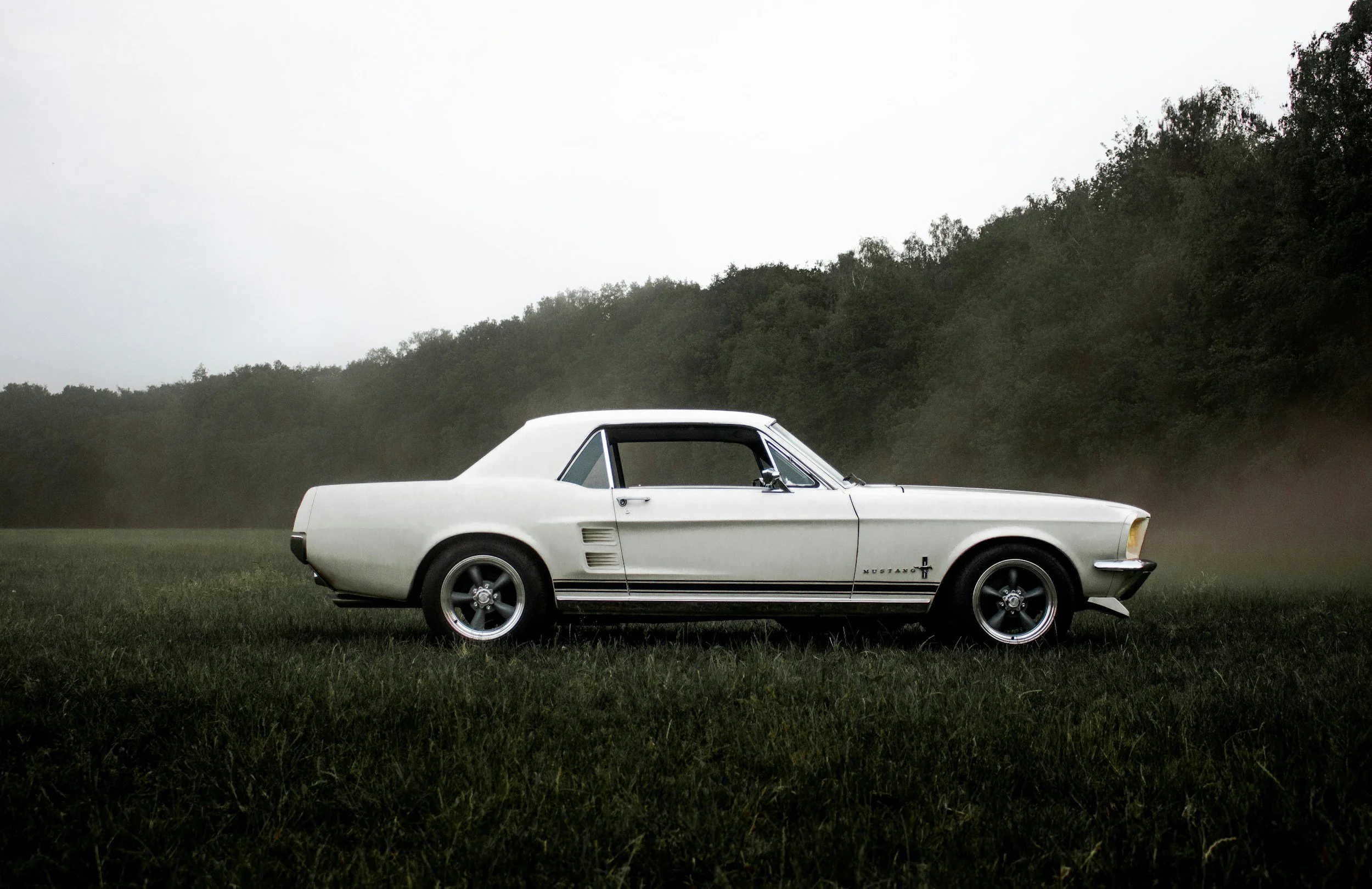 A white vintage Ford Mustang car parked on a grassy field with trees in the background under an overcast sky.