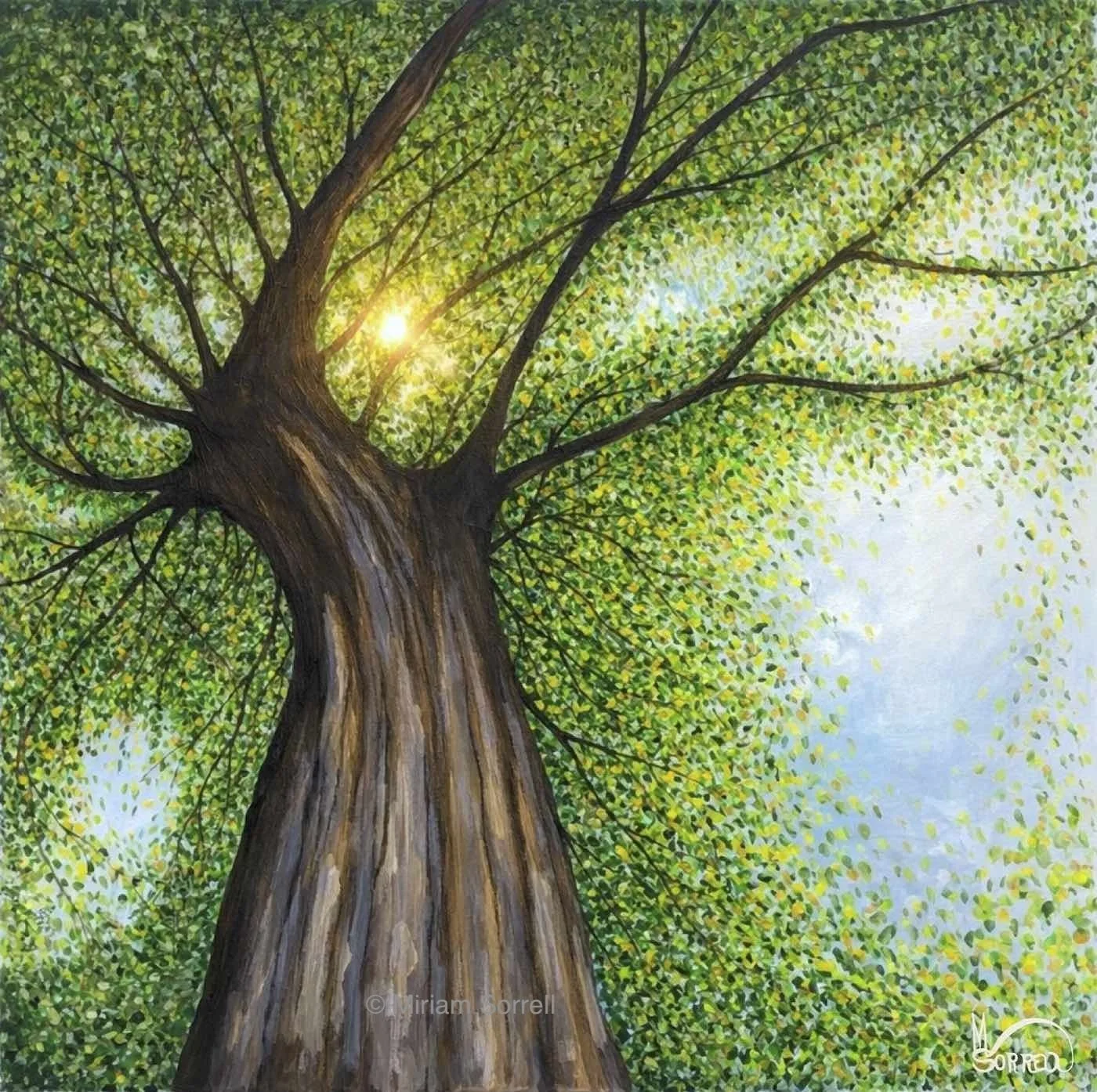 Tree of Light