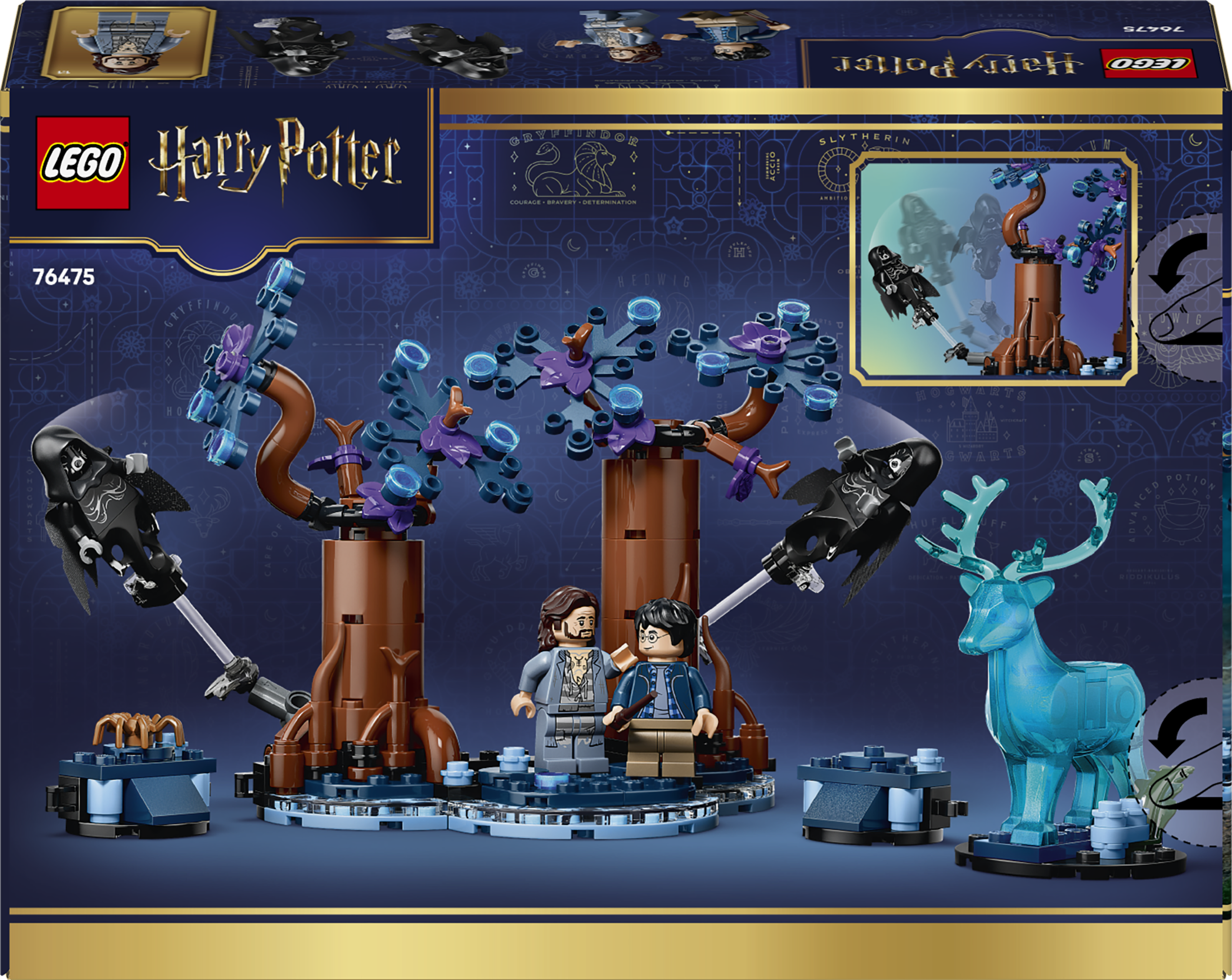 76475_Box6_v29 (1).png