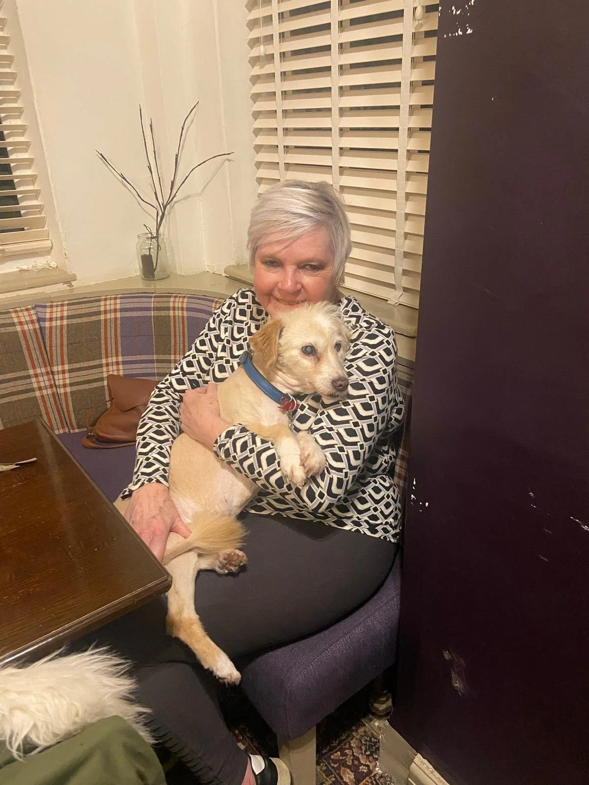 An elderly woman with short gray hair smiling and hugging a small light-colored dog with a blue collar, sitting on a cushioned bench inside a house.