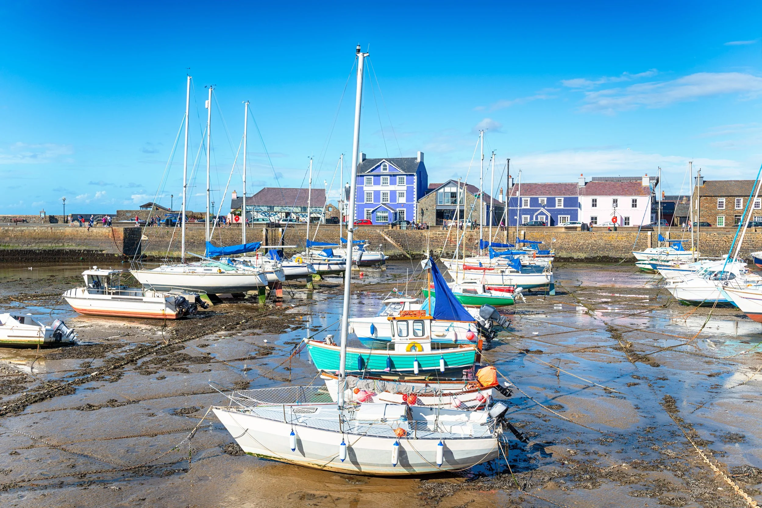 Boats moored on a muddy shore with colorful buildings and a blue sky in the background.