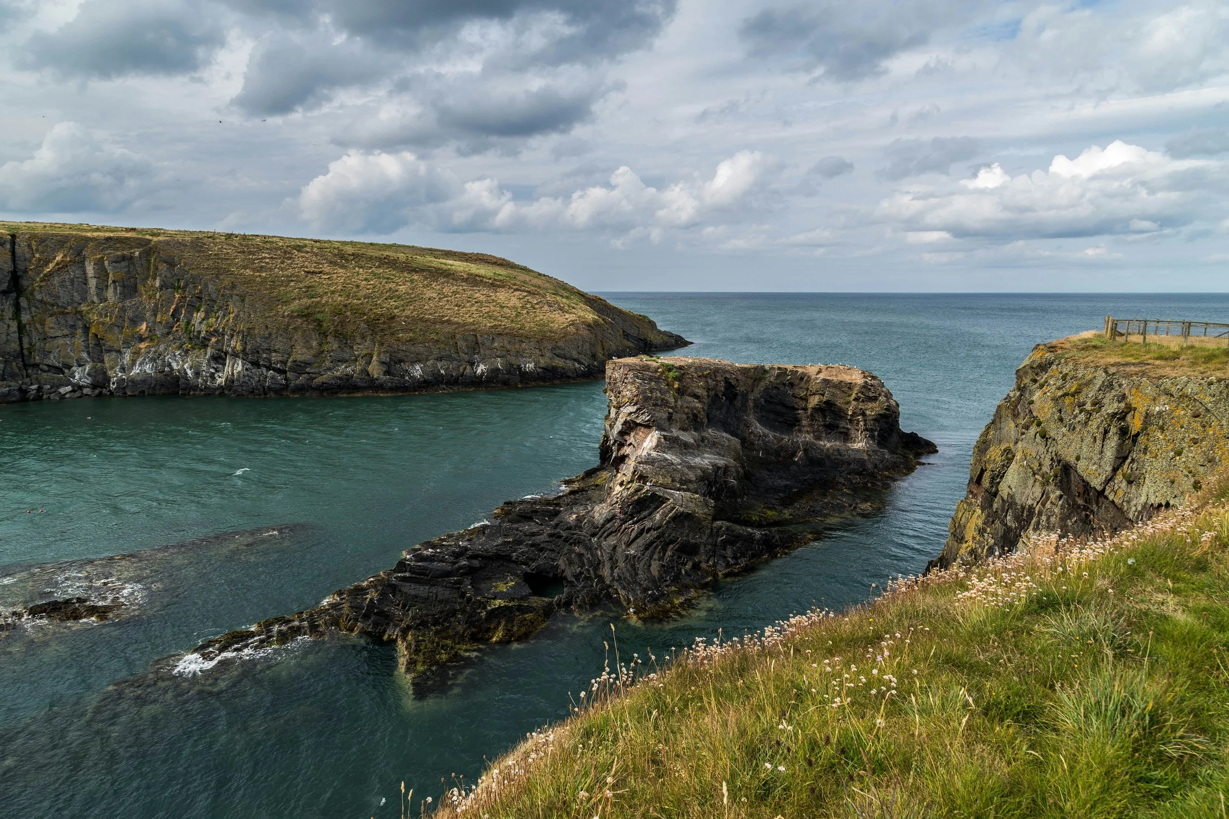 Cliffs overlooking the ocean with a rocky shoreline, grassy fields with small flowers, and cloudy sky.