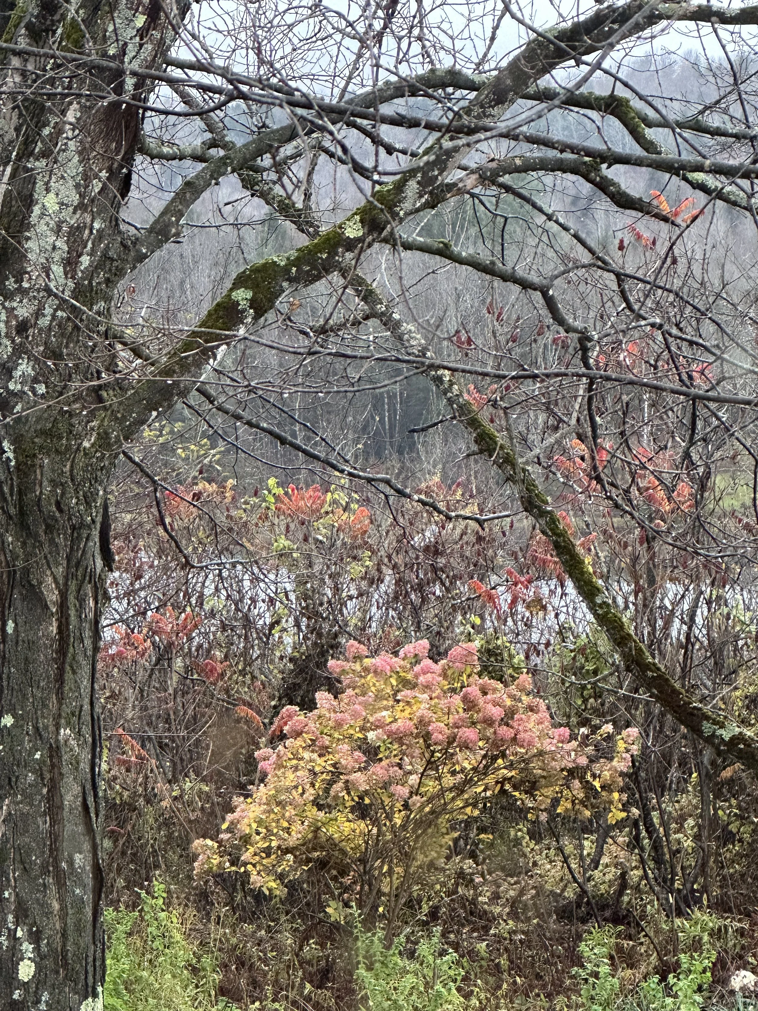 natural landscape in vermont