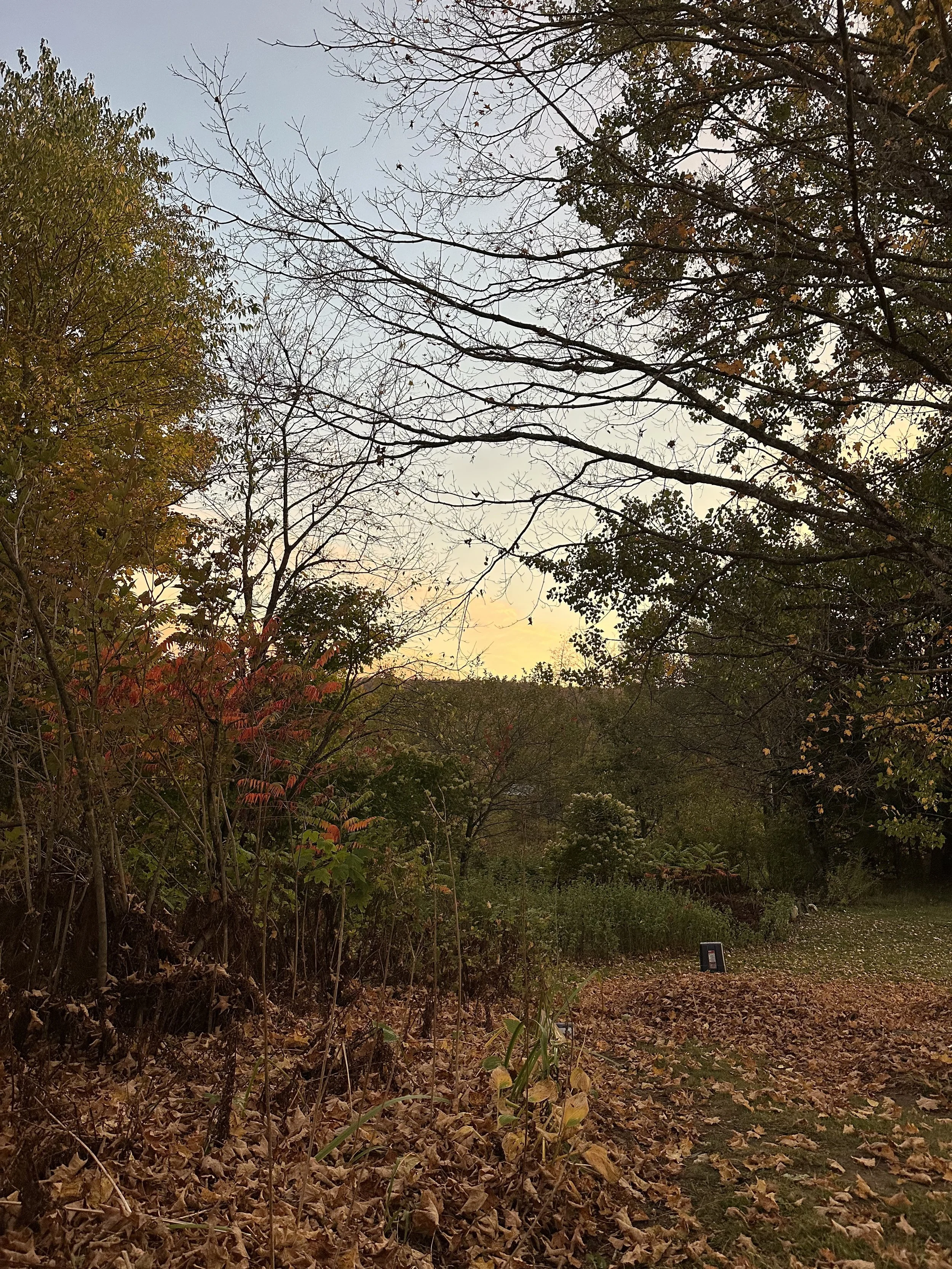 Fall Foliage near the home of Kurtis Mellett in Craftsbury Vermont
