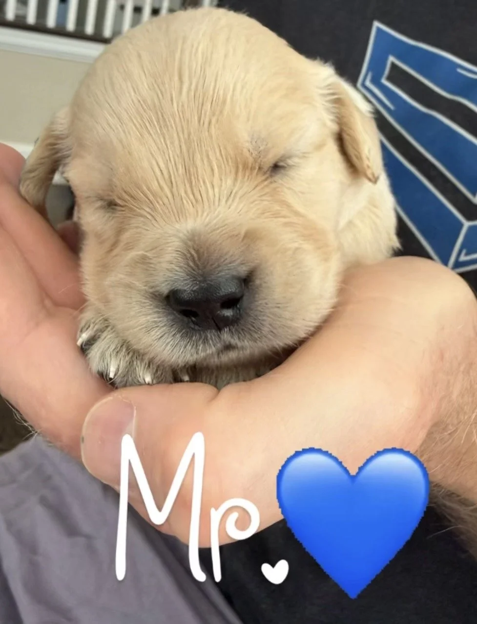 blue.jpg
