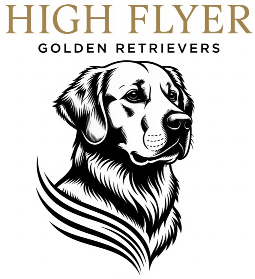 High Flyer Golden Retrievers