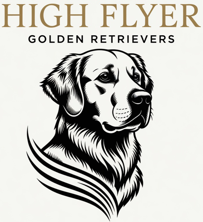 High Flyer Golden Retrievers