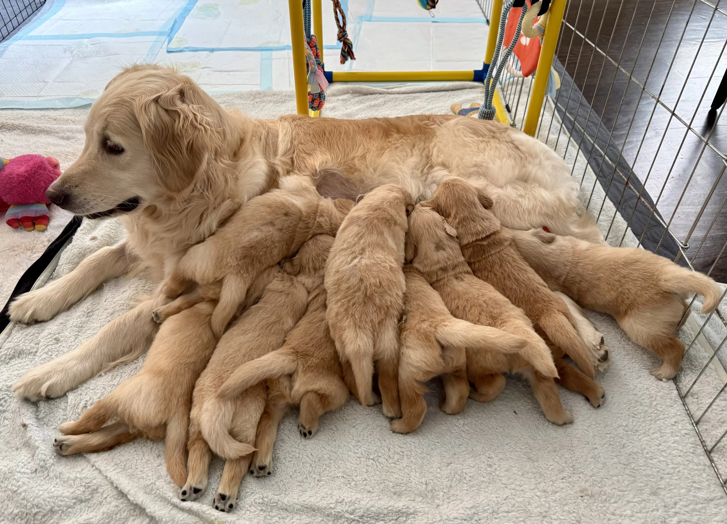 25 days old.jpeg