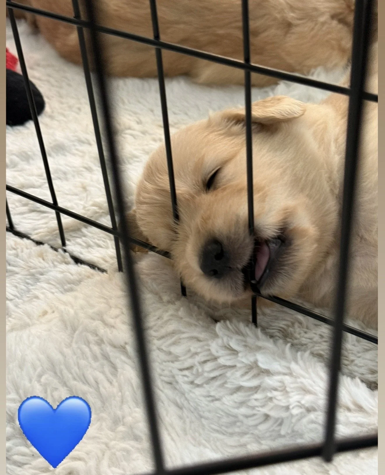 blue .jpg