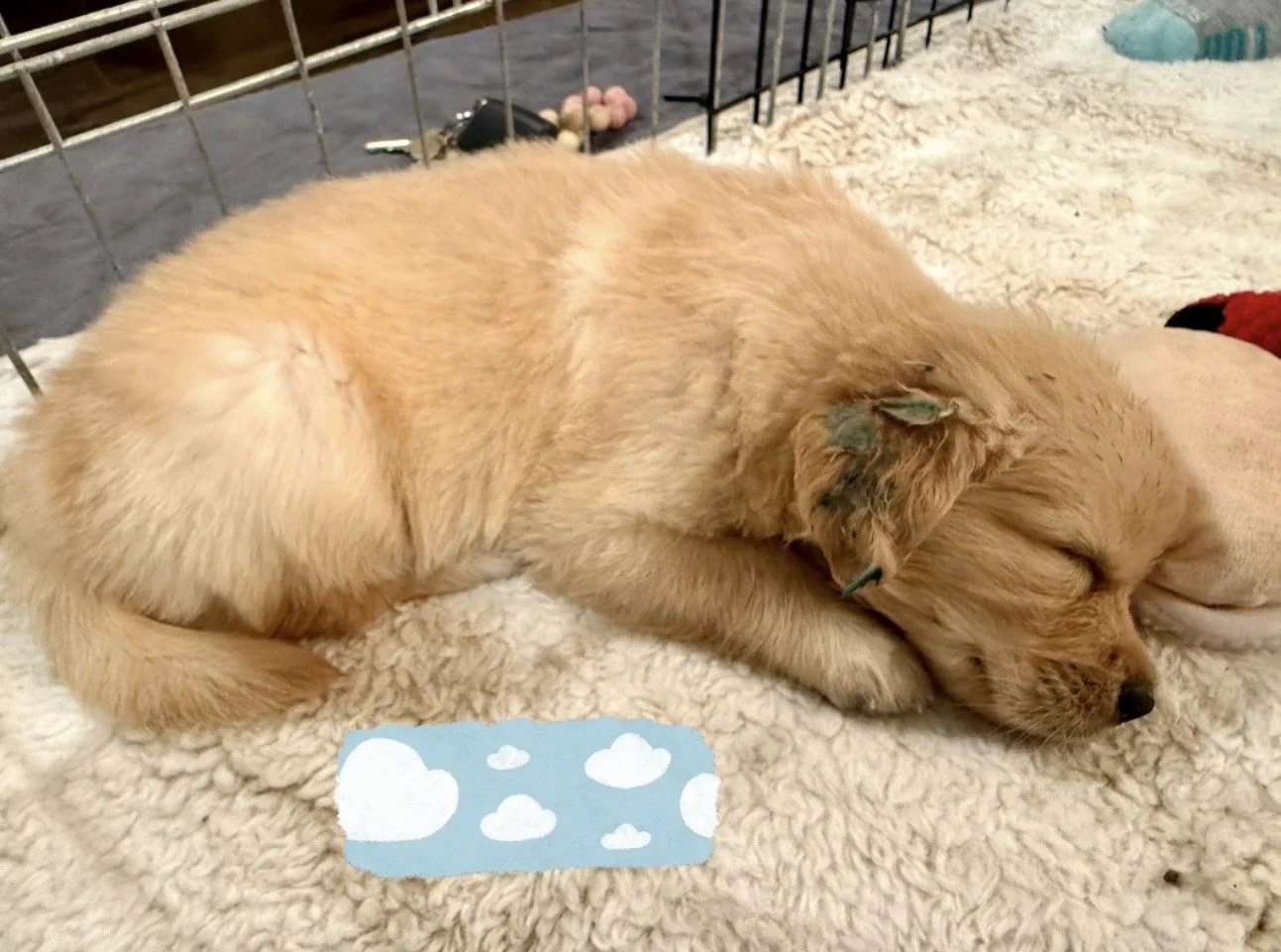 sky sleeping 5 weeks.jpg