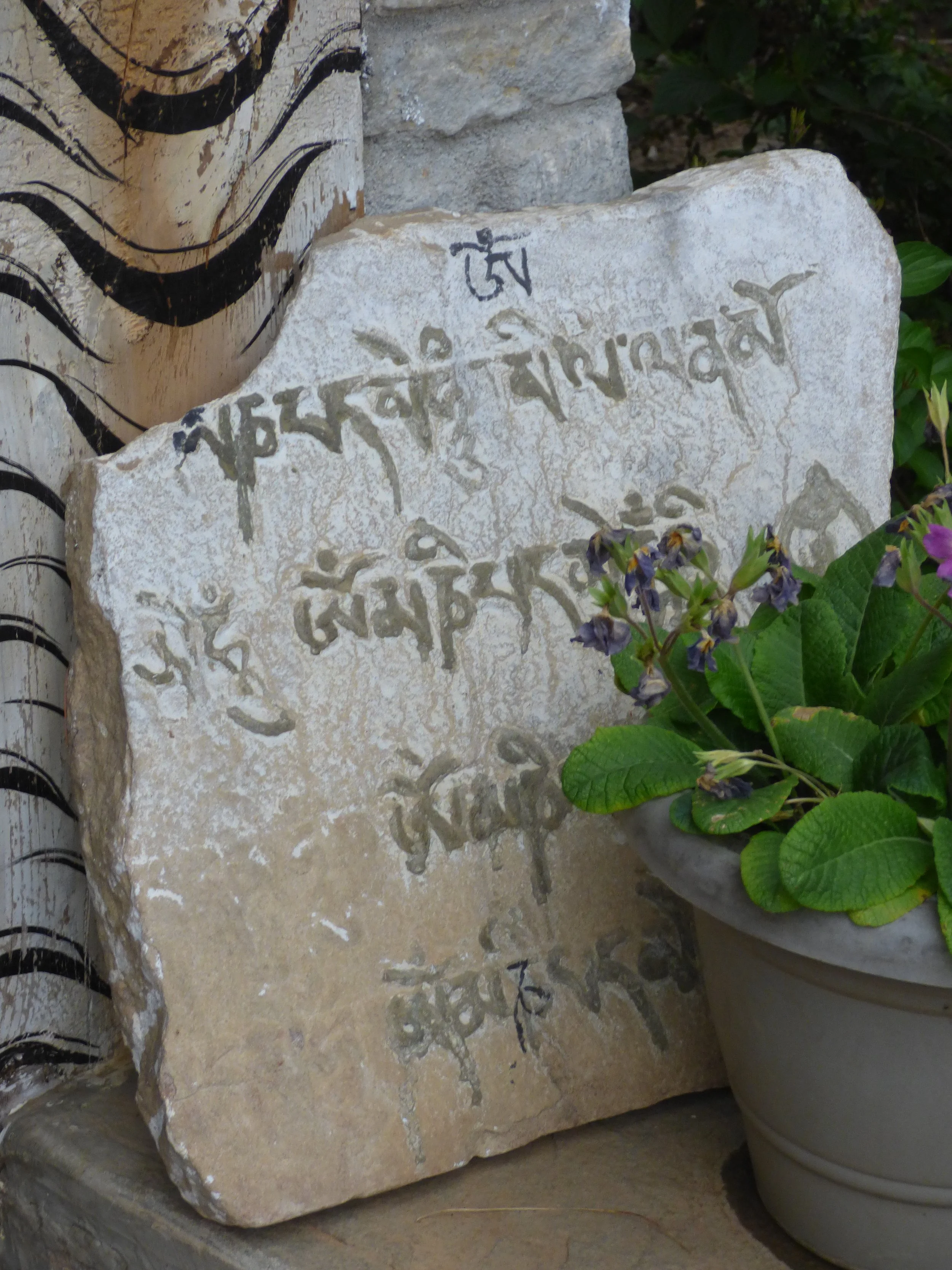 Contemplative photo by Gretchen Martens of a slab with writing and a plant in Bhutan, speaking to her used to illustrate her credentials as an author, teacher, soul doula, writer, publisher, holistic healer, shaman