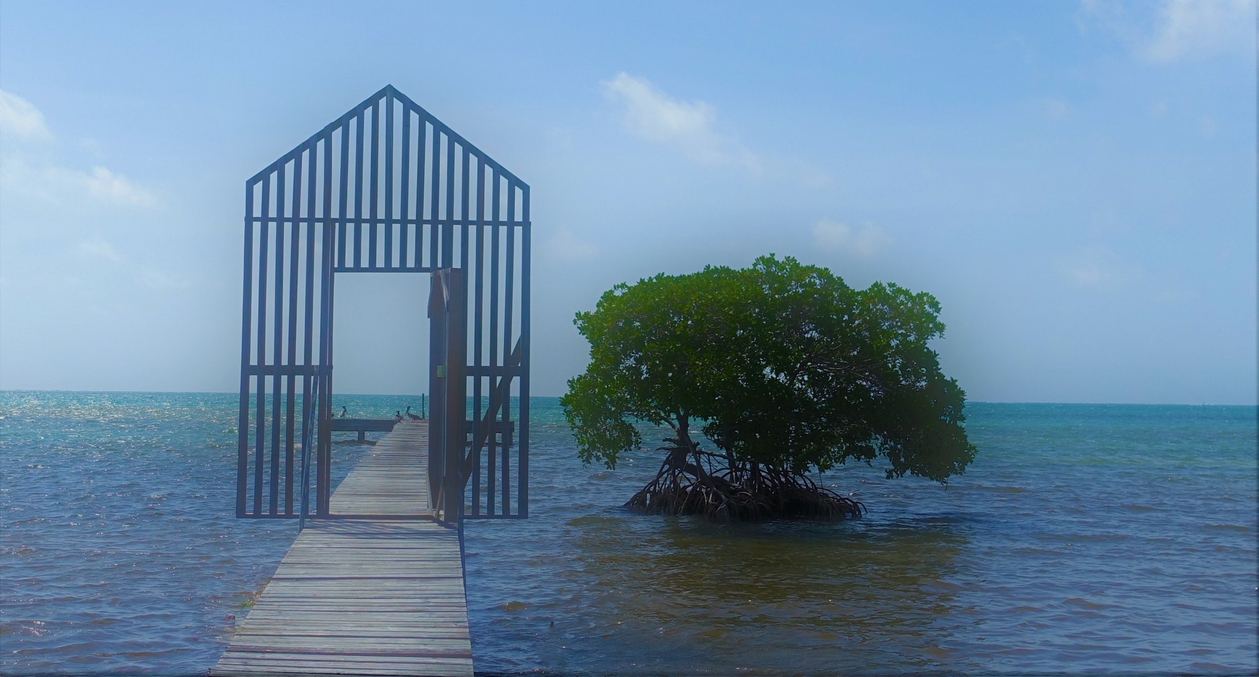 Picture of a pier into the ocean with a mangrove tree and gateway
