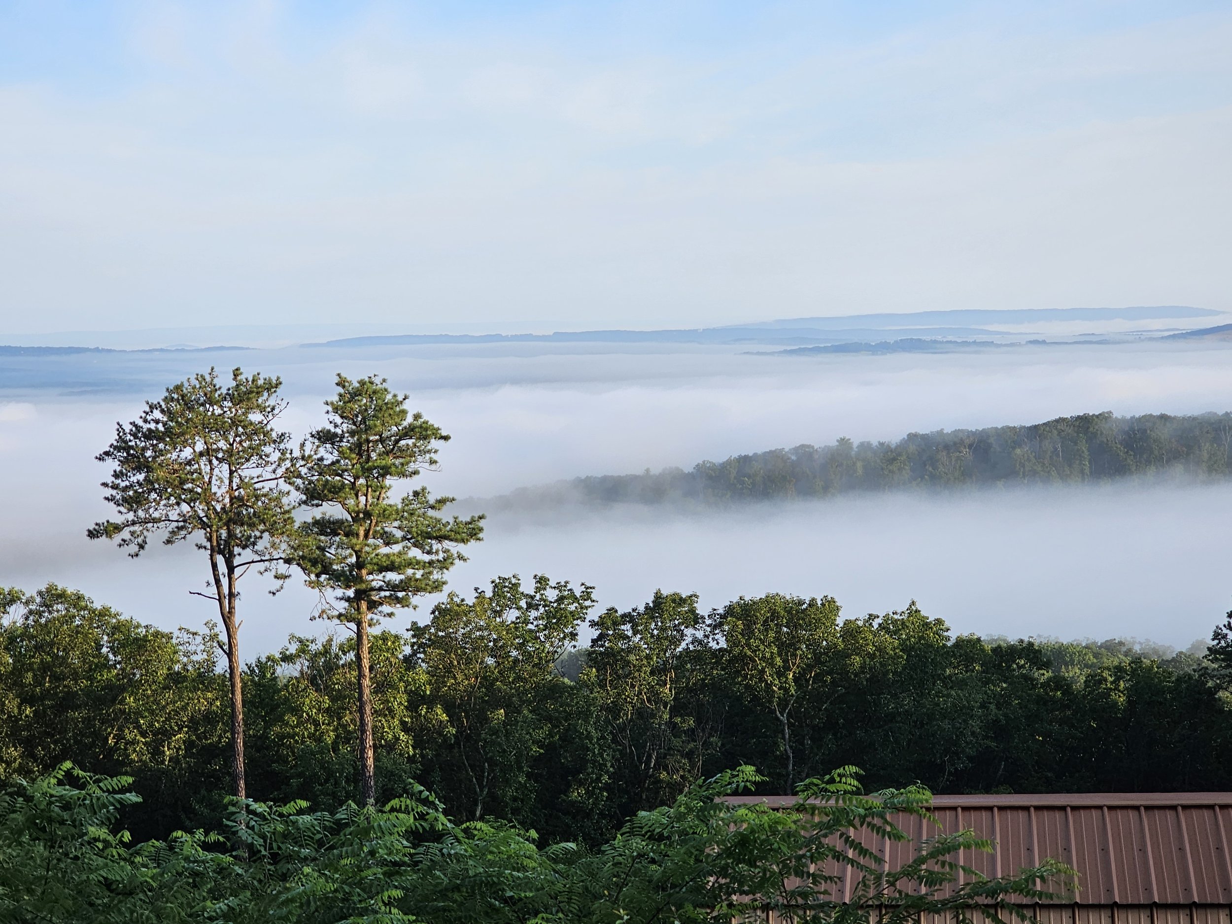 Picture of Trees over a valley with mist at sunrise. Invitation to meet Gretchen Martens, author, teacher, soul doula