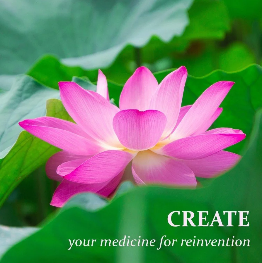 Create: A picture of snowy globe and the words create—your medicine for reinvention, referring to the step of creation in the Storywork Alchemy process of Wild Becoming