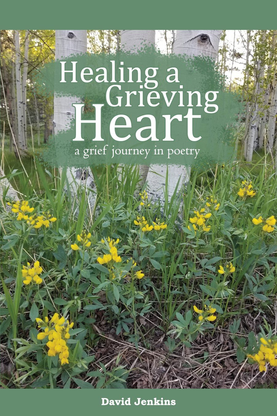 Cover of Healing a Grieving Heart, by David Jenkins