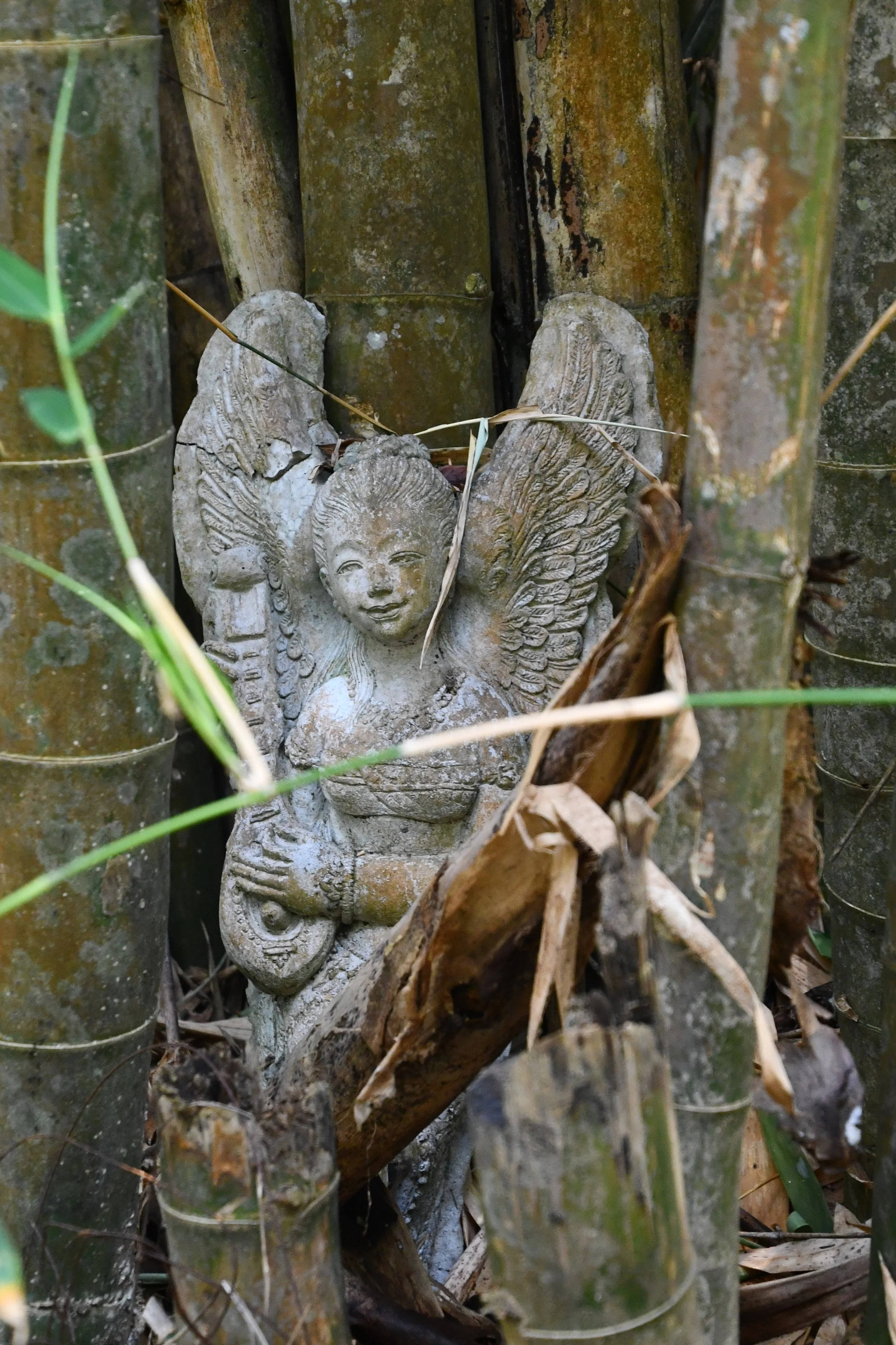 Photo by Gretchen Martens of a bodhisattva in Thailand, speaking to The Glass Cradle™ and how women struggle with identity, gendered expectations, and becoming