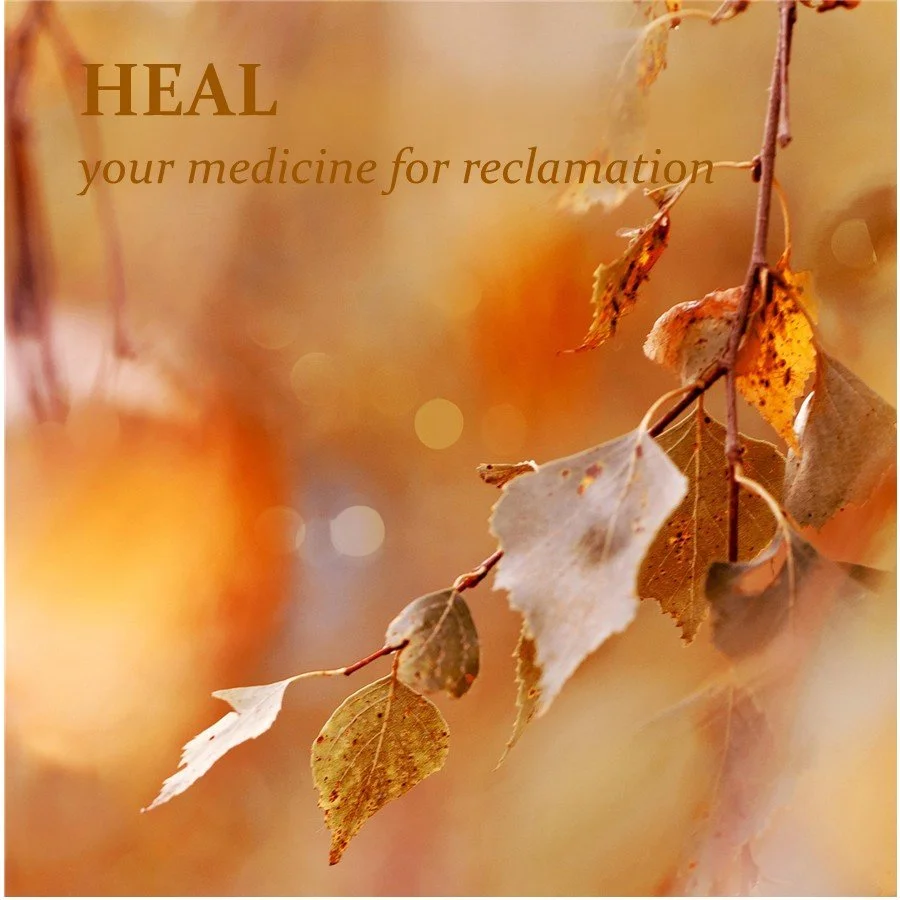 A picture of dried leave and the words heal—your medicine for healing, referring to the step of healing in the Storywork Alchemy process of Reclamation
