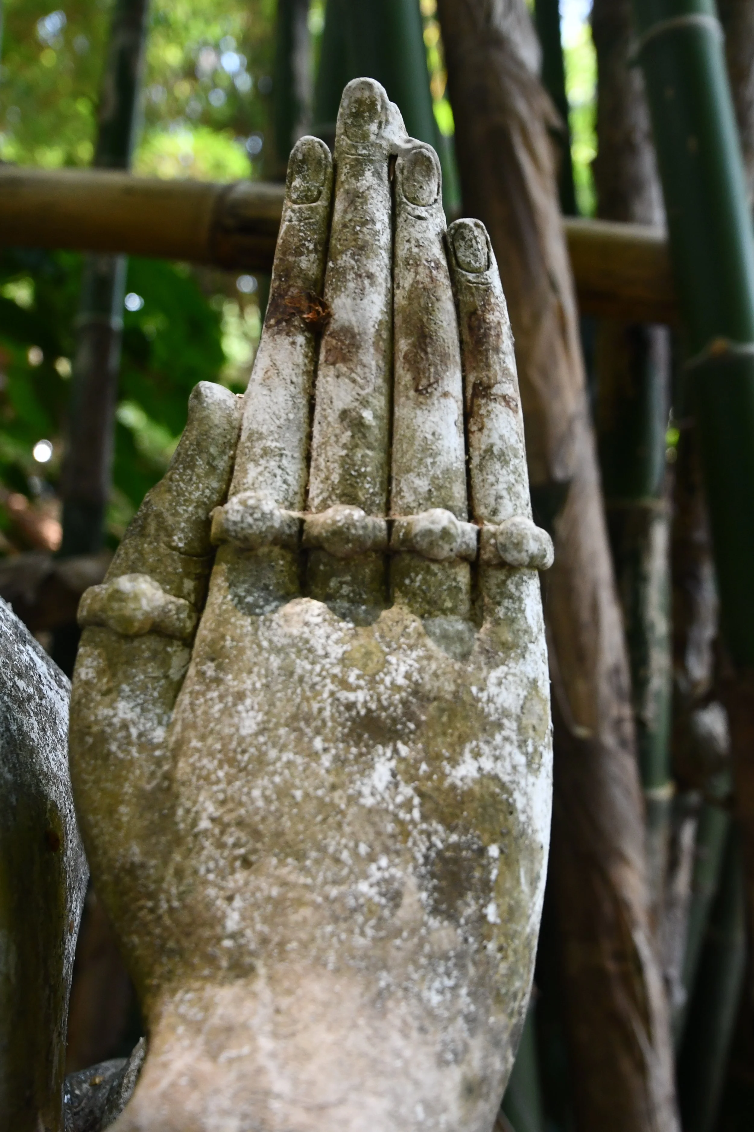 Contemplative photo by Gretchen Martens of prayer hands from Thailand, speaking to her role as a writer, editor, and publisher who believe in world repair—healing the world one book at a time