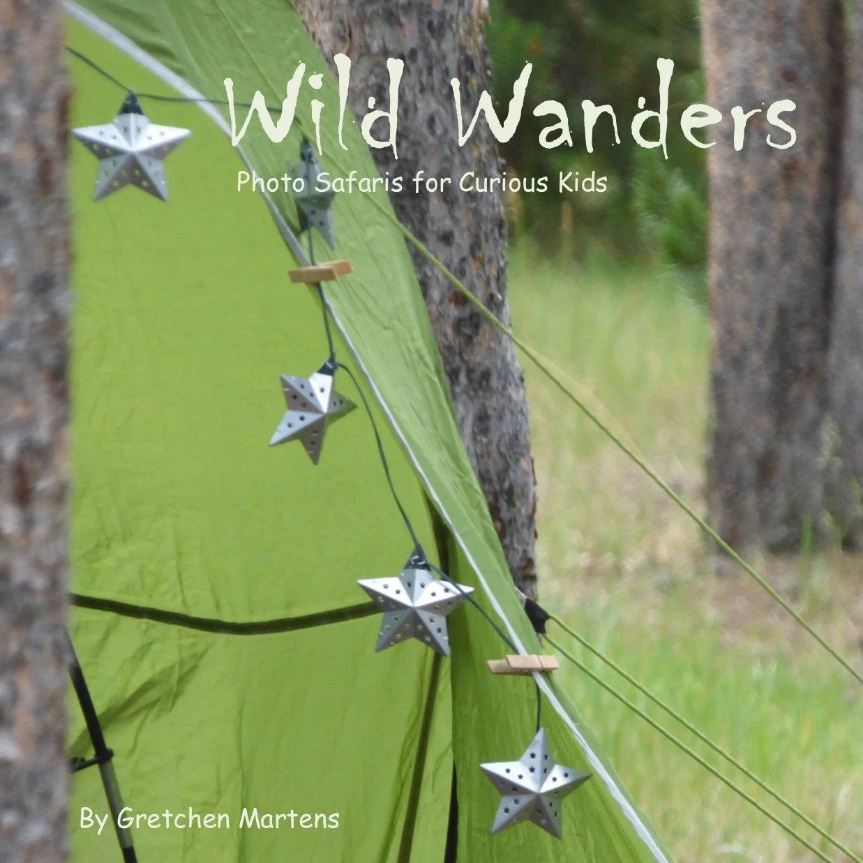 Cover of the book Wild Wanders: photo safaris for curious kids by Gretchen Martens, introducing the practice of contemplative photography to children 5 to 12