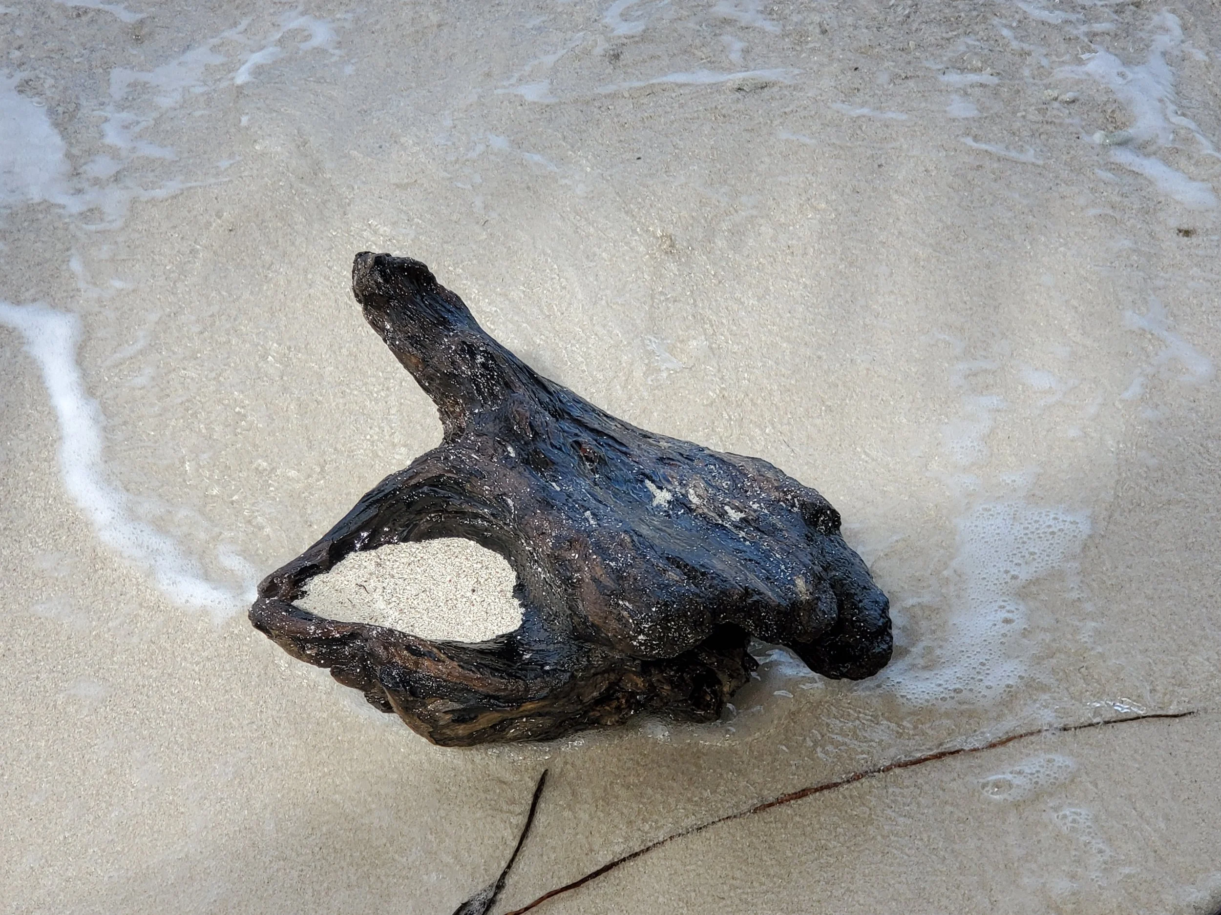 Photo of a piece of driftwood in the surf that looks like a hand in mudra position, a contemplative photograph by Gretchen Martens