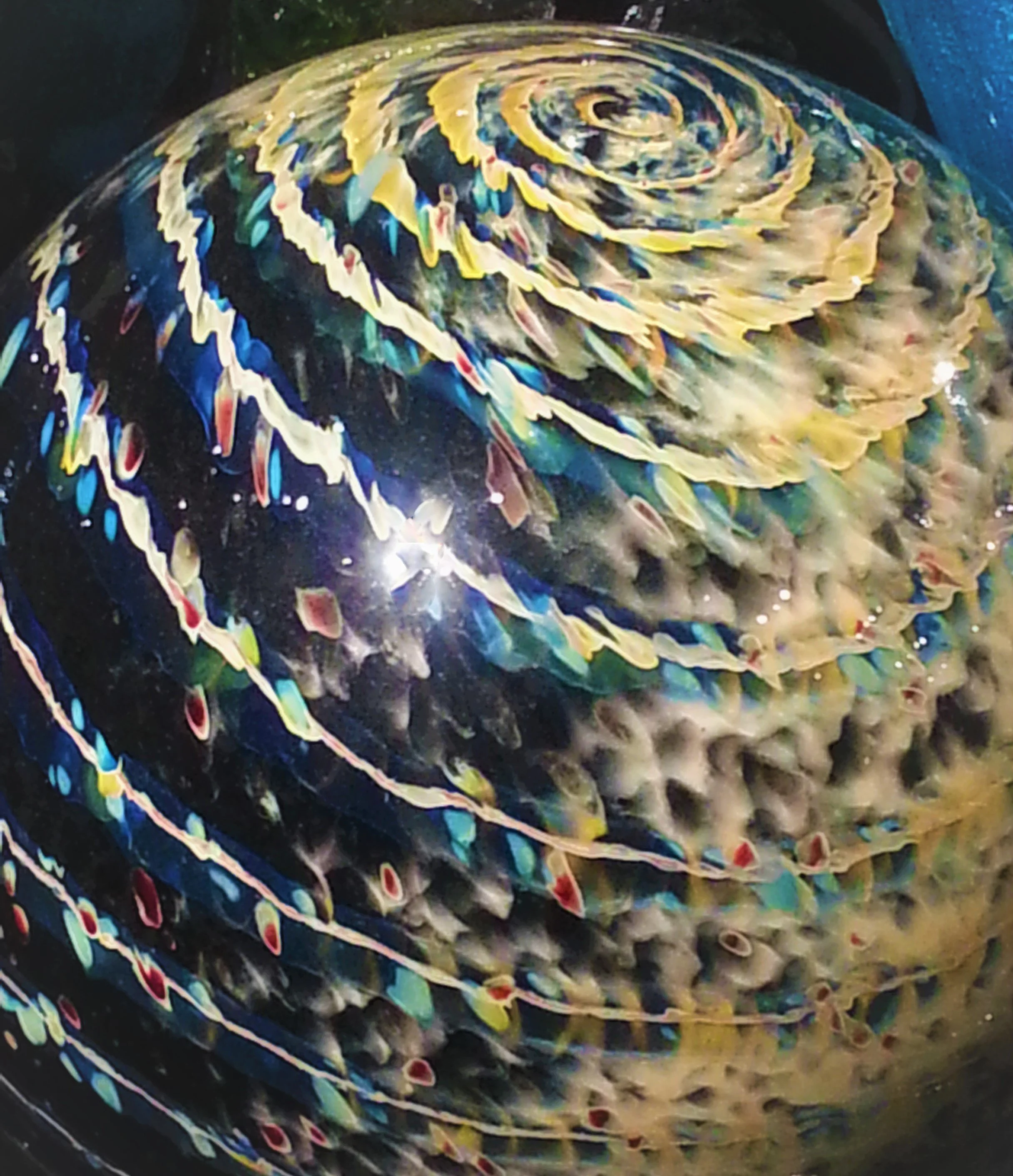 Photo by Gretchen Martens of a glass ball, representing her ecosystem: The Glass Cradle™, The Sovereign Self, Reclamation, Storywork, Wild Becoming, Nature & Threshold Journeys™, Kinship